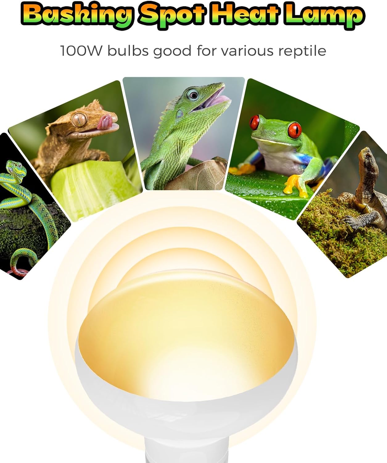 Reptile Heat Lamp, 2 Pack 100W Heat Lamp Bulbs for Reptiles, Amphibians Basking Heat Lamp Bulbs, UVA Daylight Basking Light for Reptiles, Bearded Dragon, Lizard, Turtle, Chicken