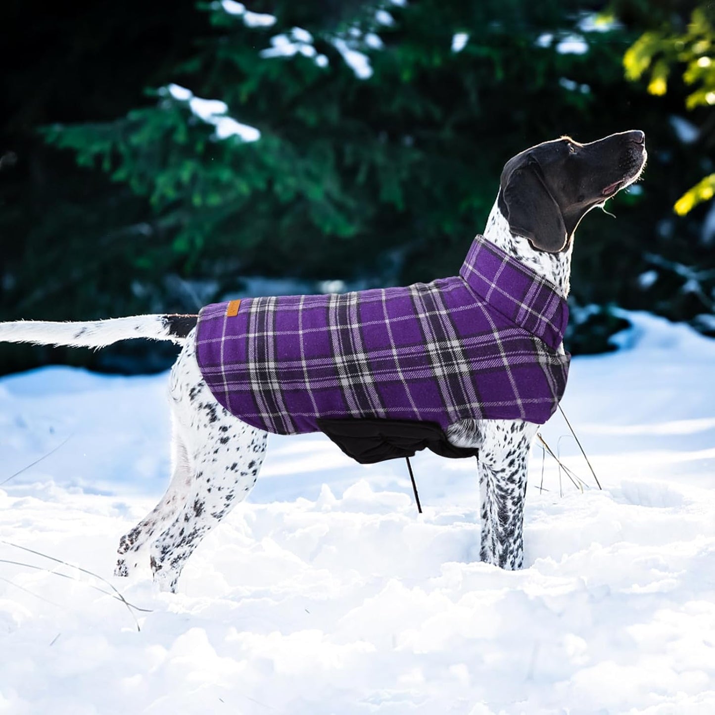 Kuoser Warm Dog Coat, Waterproof Dog Jacket for Extra Large Dogs, Adjustable Durable XL Doggie Winter Coat Reversible Cozy Puppy Cold Weather Apparel from Small to Large Breed, Purple XL