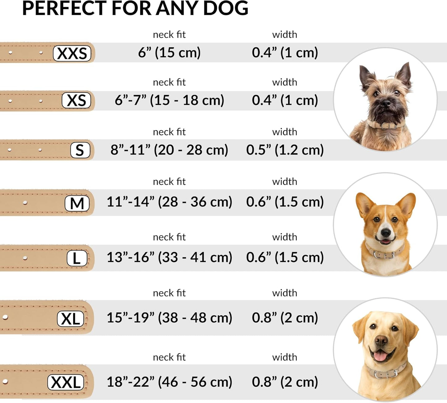 CollarDirect Rolled Leather Dog Collar, Soft Padded Round Puppy Collar, Handmade Genuine Leather Collar Dog Small Large Cat Collars 13 Colors (8-11 Inch, Beige Smooth)