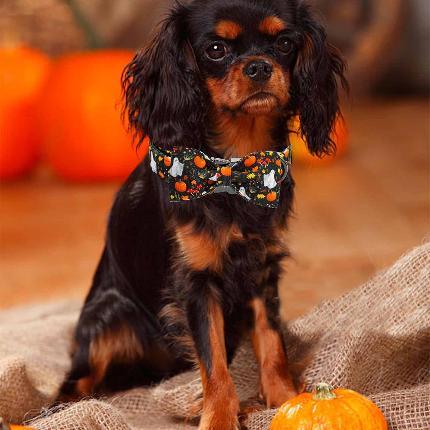 Elegant little tail Fall Dog Collars, Ghosts Pumpkin Print Halloween Pet Collar Puppy Male Cotton Dog Collar with Bow Adjustable Collars for Small Medium Large Dogs