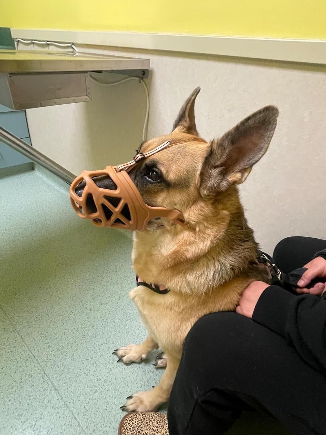 Mayerzon Dog Muzzle, Breathable Basket Muzzles for Small, Medium, Large and X-Large Aggressive Dogs Beagle German Shepherd Doberman, Cage Mouth Guard Stop Biting Chewing for Grooming Training