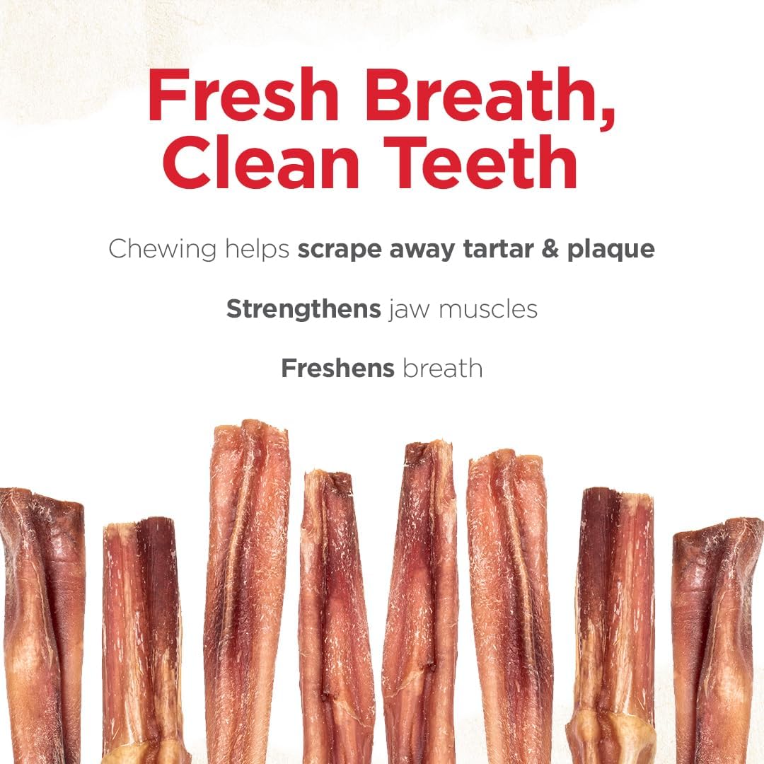 Natural Farm Odor Free Eccentric Bully Sticks (2-5 Inch, 8 Ounces Bag) for Small & Medium Dogs - 100% Beef Chews for Pups, Non-GMO, Grain-Free, Fully Digestible Long Lasting Dog Treats