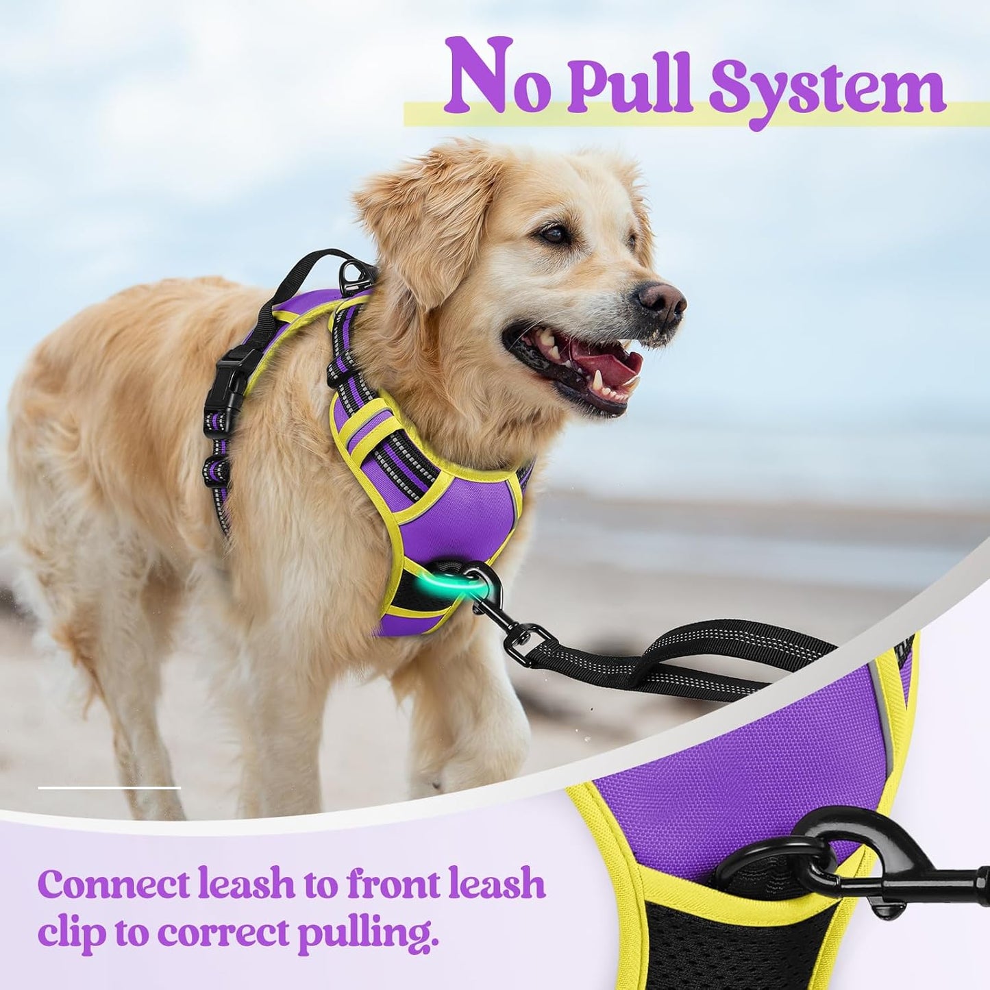 rabbitgoo Dog Harness No Pull with 2 Leash Clips, Adjustable Soft Padded, Reflective Oxford No Choke Pet Vest with Easy Control Handle for Large Dogs, Purple & Yellow, XL