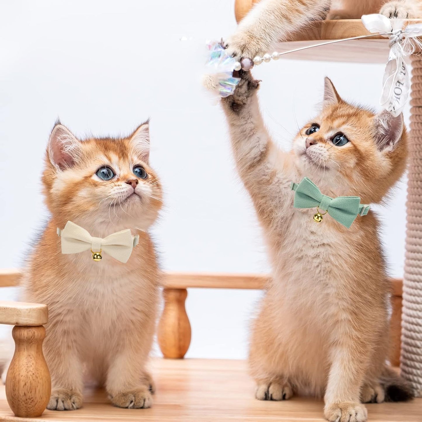 2 Pack Soft Corduroy Cat Collars with Bow Tie & Bell, Adjustable Breakaway Cotton Kitty Bowtie Collar for Female Male Cats(White & Grass Green)