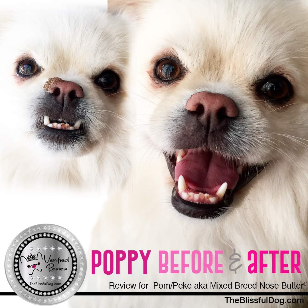 The Blissful Dog Mixed Breed Nose Butter, Versatile Dog Nose Balm for Dry Nose, Handcrafted Nose Moisturizer, Easy-to-Apply Dog Essentials, Unscented, 1 oz.