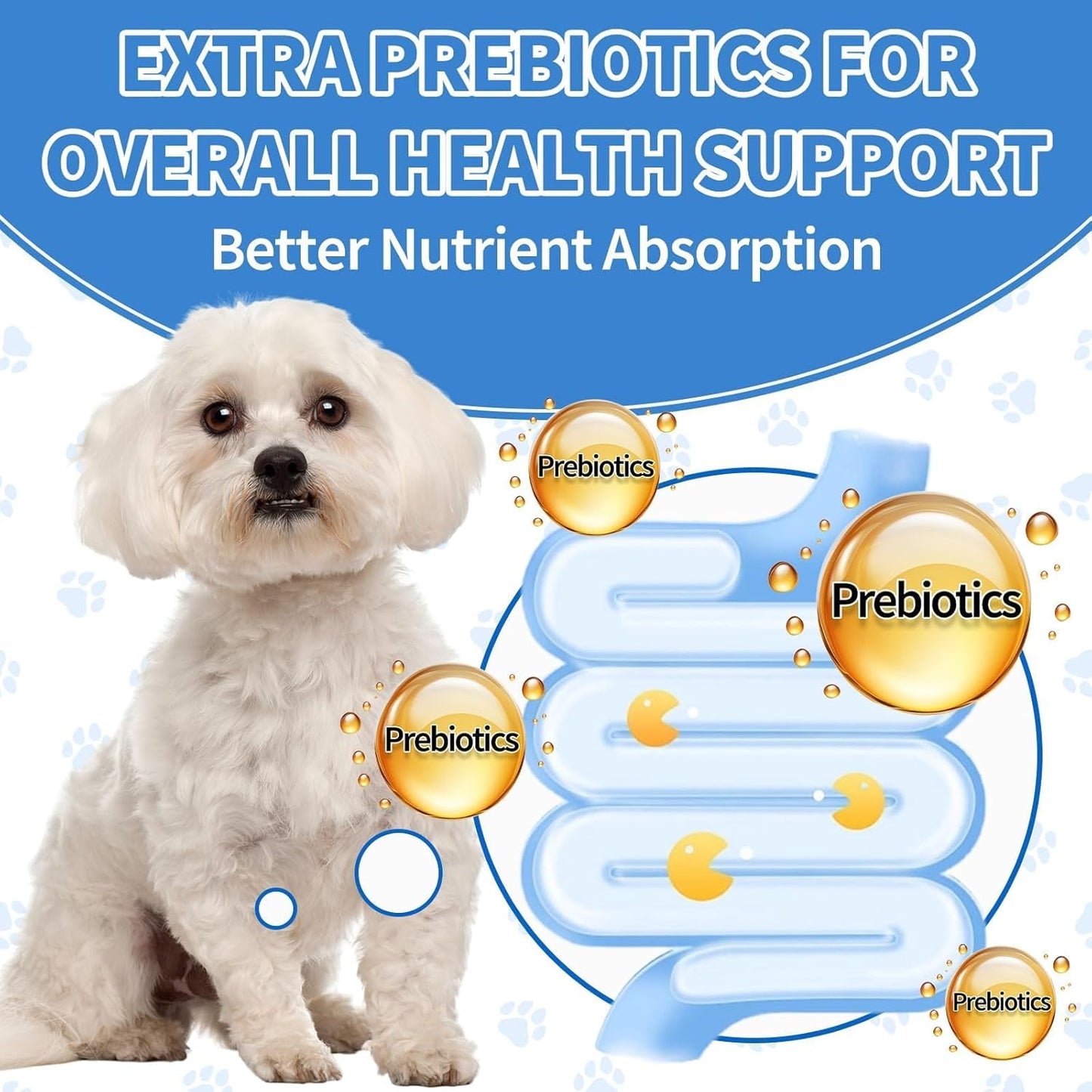 Natural Antibiotics for Dogs, Herbal Dog Antibiotics Supplement with Prebiotics for Dog Allergy Itch Relief Cough Immune Support Dog UTI Comfort for All Breeds and Ages-Chicken Flavor | 2 fl oz