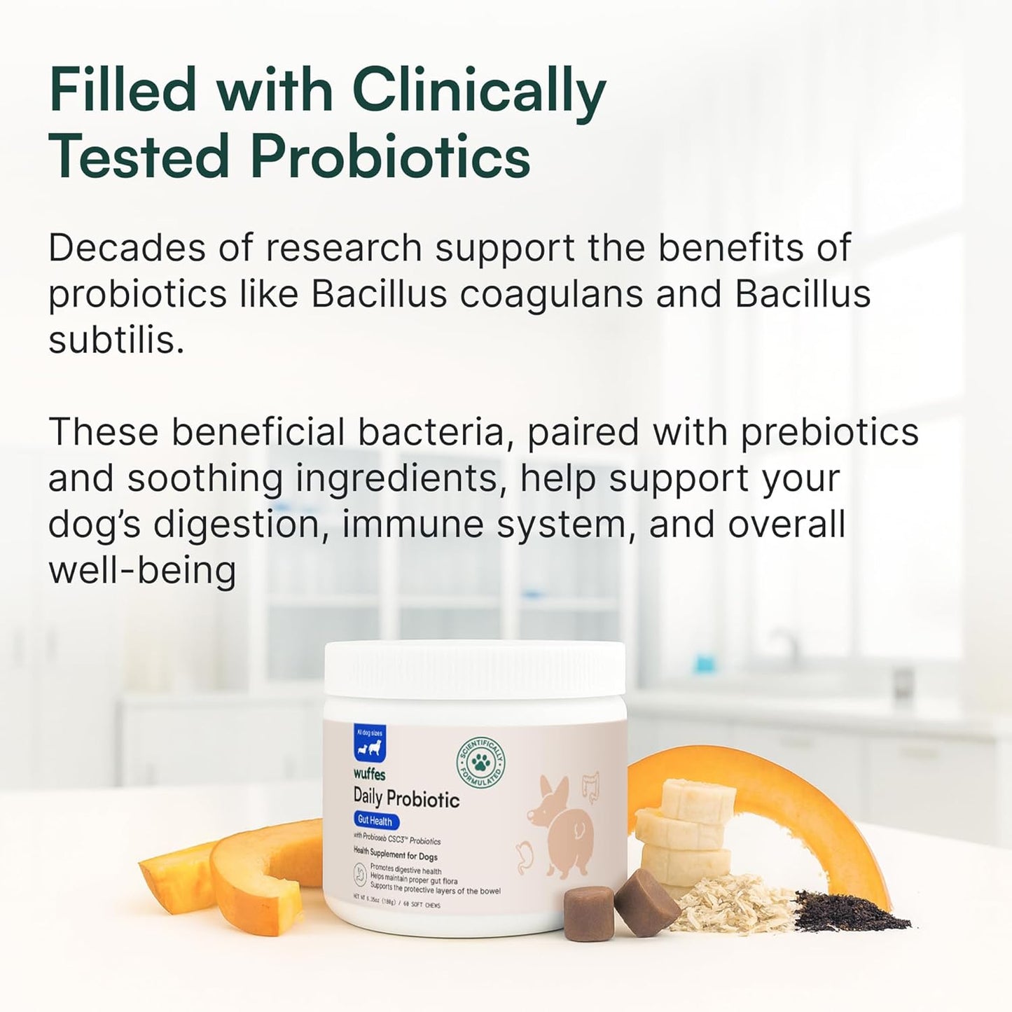 Wuffes Daily Probiotic for Dogs - Supports Digestive Health, Gut Balance, and Immune System - with Prebiotics, Marshmallow Root, and Pumpkin Powder - 60 Soft Chews