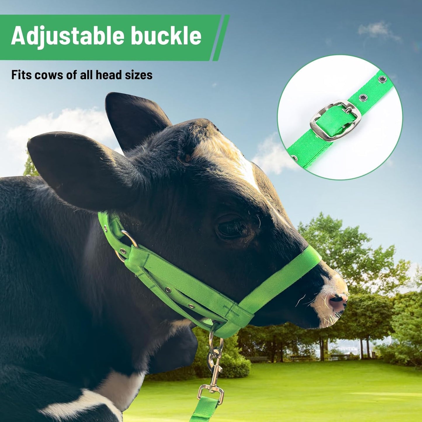 XUANNIAO Easily Adjustable Figure 8 Cow Halter, Double-Ply Premium Livestock Cattle Halters, Colorful Cow Utility Calf Halter with Leading Rope for Miniature Horse Donkey Goat Foal (Small, Green)
