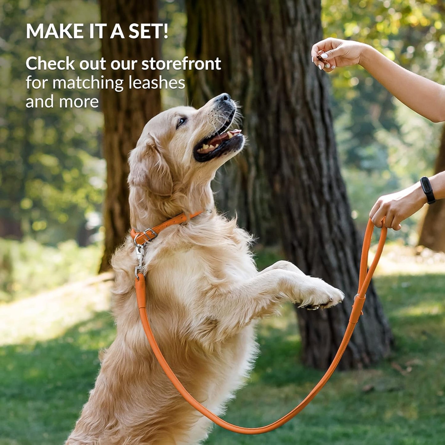 CollarDirect Rolled Leather Dog Collar, Soft Padded Round Puppy Collar, Handmade Genuine Leather Collar Dog Small Large Cat Collars 13 Colors (6-7 Inch, Orange Smooth)