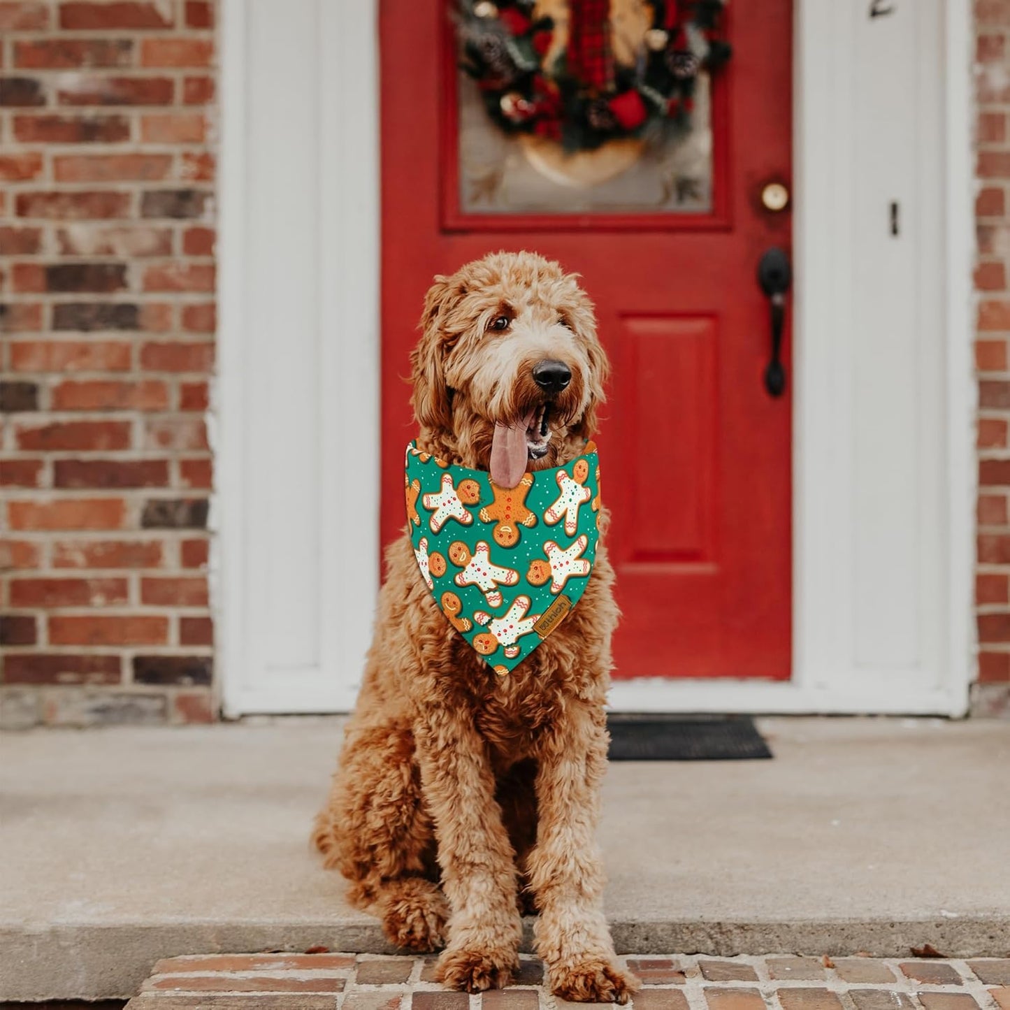 Christmas Dog Bandanas - 2 Pack Reversible Gingerbread Man Dog Scarf for Boy & Girl, Premium Durable Fabric, Festival Dog Bib, Holiday Bandana for Small and Medium Dogs (Small)