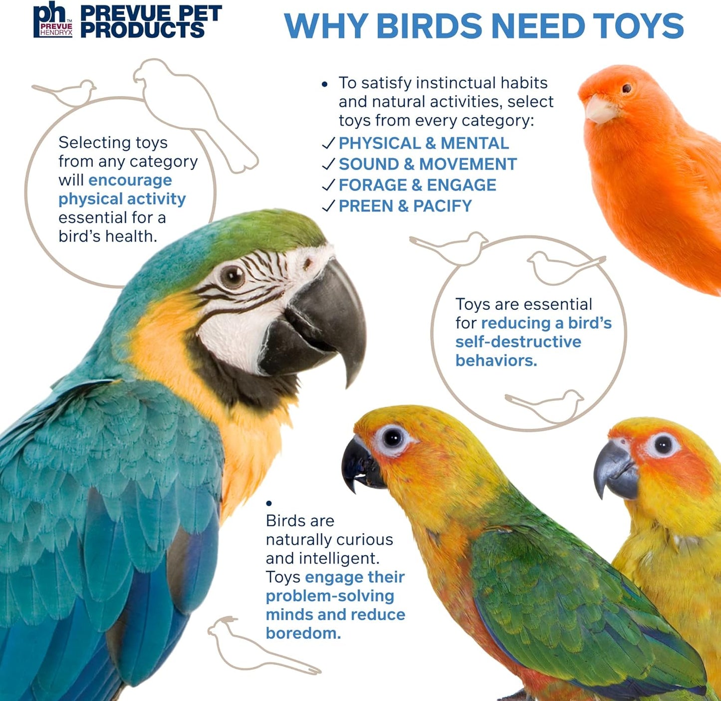 Prevue Hendryx Sound & Movement Birdie Basics Lantern Mirror Bird Toy 60420