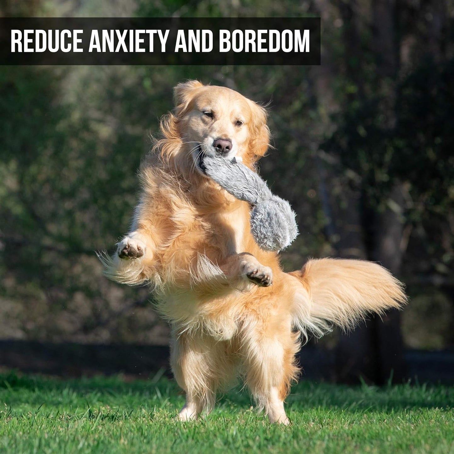 Hyper Pet Doggie Tail & Unicorn Pal Interactive Plush Dog Toys - 2 Pack Value Pack (Interactive Toy That Wiggles, Vibrates & Barks Dog Toys for Boredom & Stimulating Play) Colors May Vary