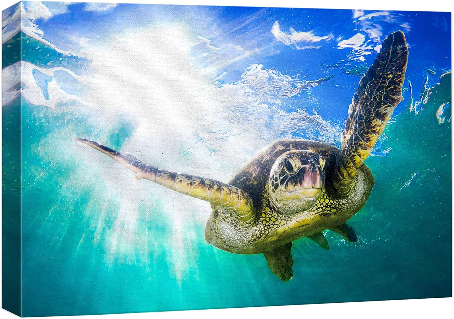 wall26 Canvas Print Wall Art Sunlight Tropical Ocean Underwater Turtle Nature Animals Photography Realism Rustic Scenic Landscape Wilderness Earth Colorful for Living Room, Bedroom, Office - 16"x24"