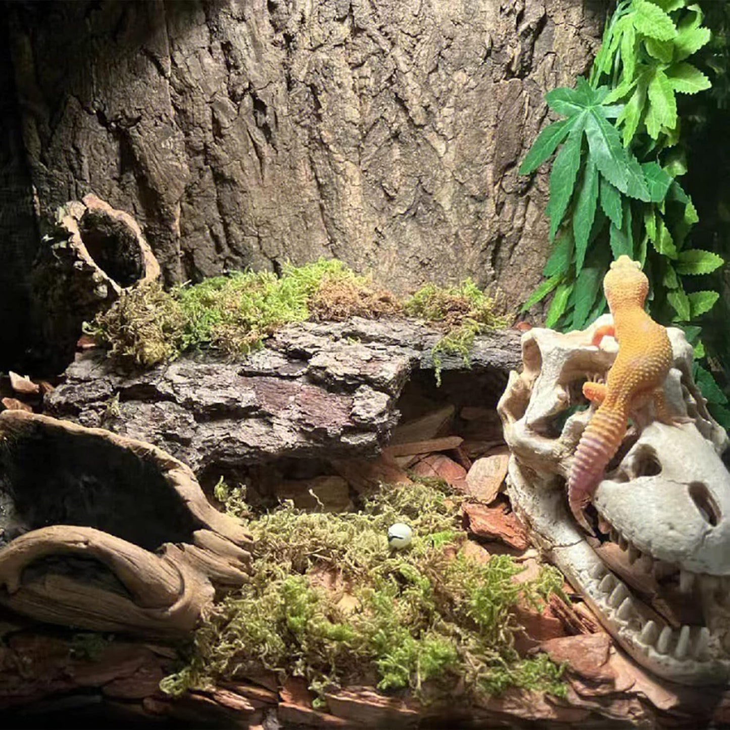 Tfwadmx 2Pcs Terrarium Cork Bark Background, 11.8"x11.8" Thickened Reptile Tank Tree Backdrop Wall Decor Habitat Climbing Mat Decoration for Lizard, Turtle, Gecko, Bearded Dragon, Frog, Chameleon