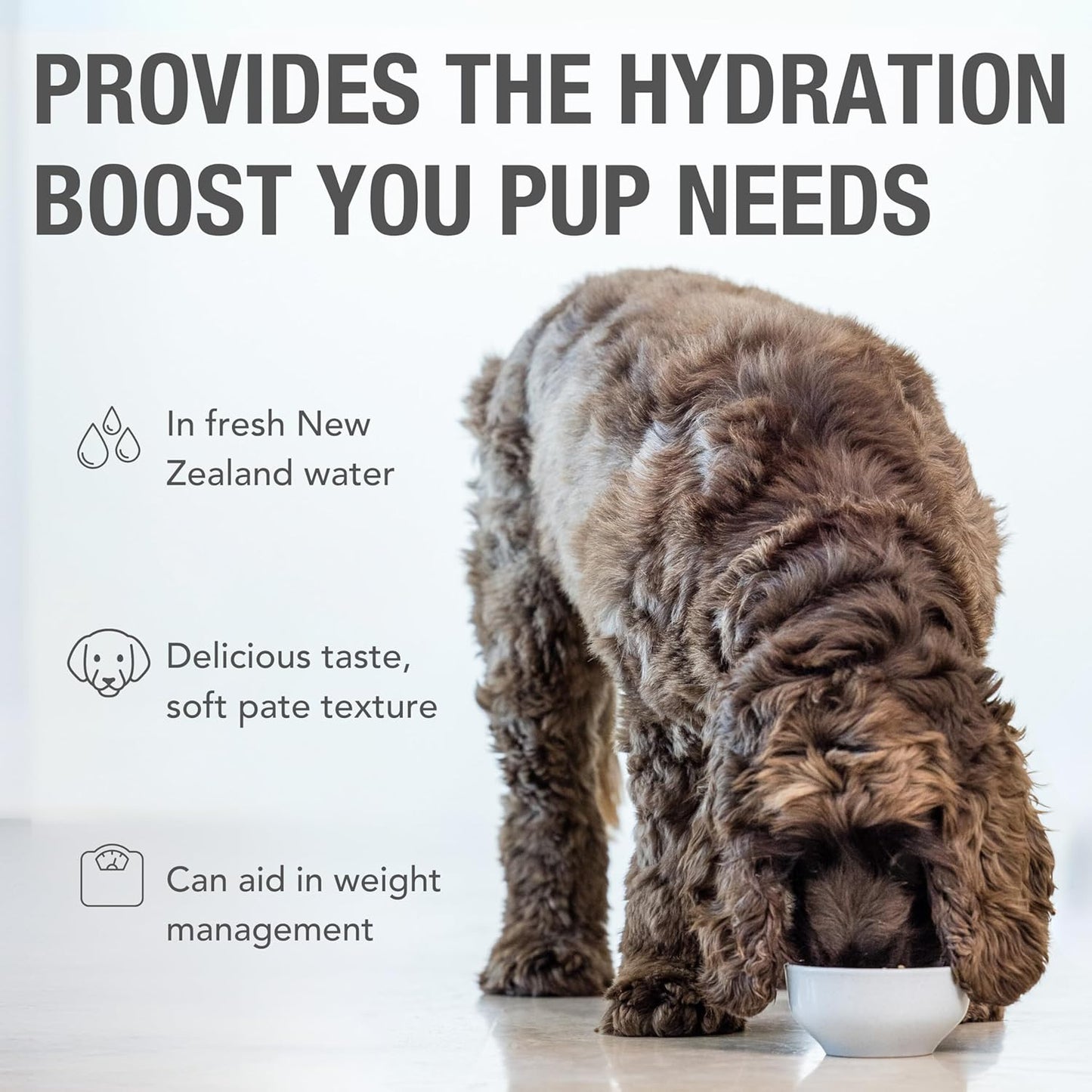 K9 Natural Wet Dog Food Pate, Hoki & Beef Feast, 6 Oz Cans (Pack of 12), Grain Free, Made in New Zealand with Sustainably Caught Hoki Fish and Grass-Fed and Finished Beef