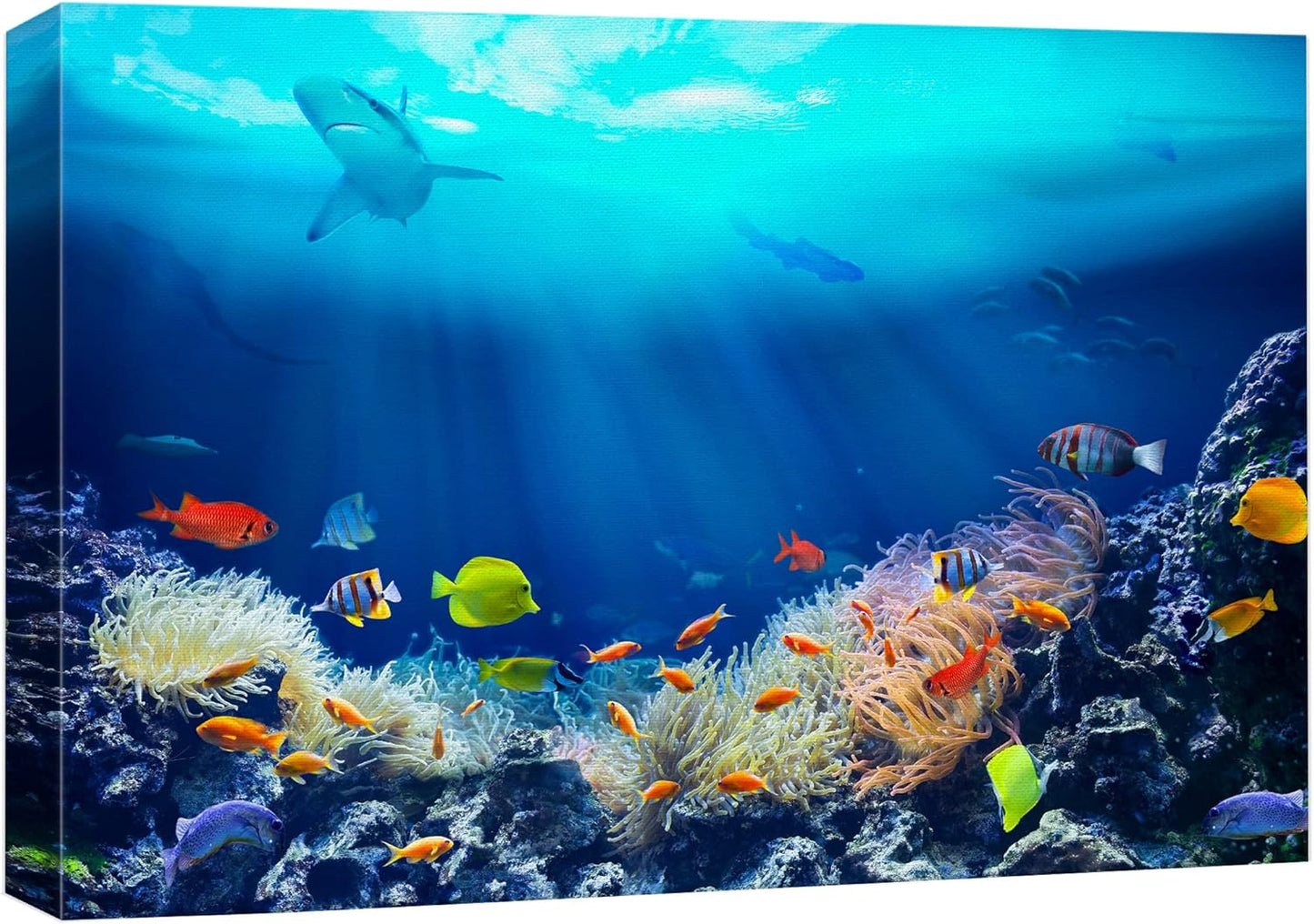 wall26 Canvas Print Wall Art Shining Sunlight Coral Reef Shark & Fish Nature Animals Photography Realism Rustic Scenic Landscape Wilderness Earth Colorful for Living Room, Bedroom, Office - 32"x48"