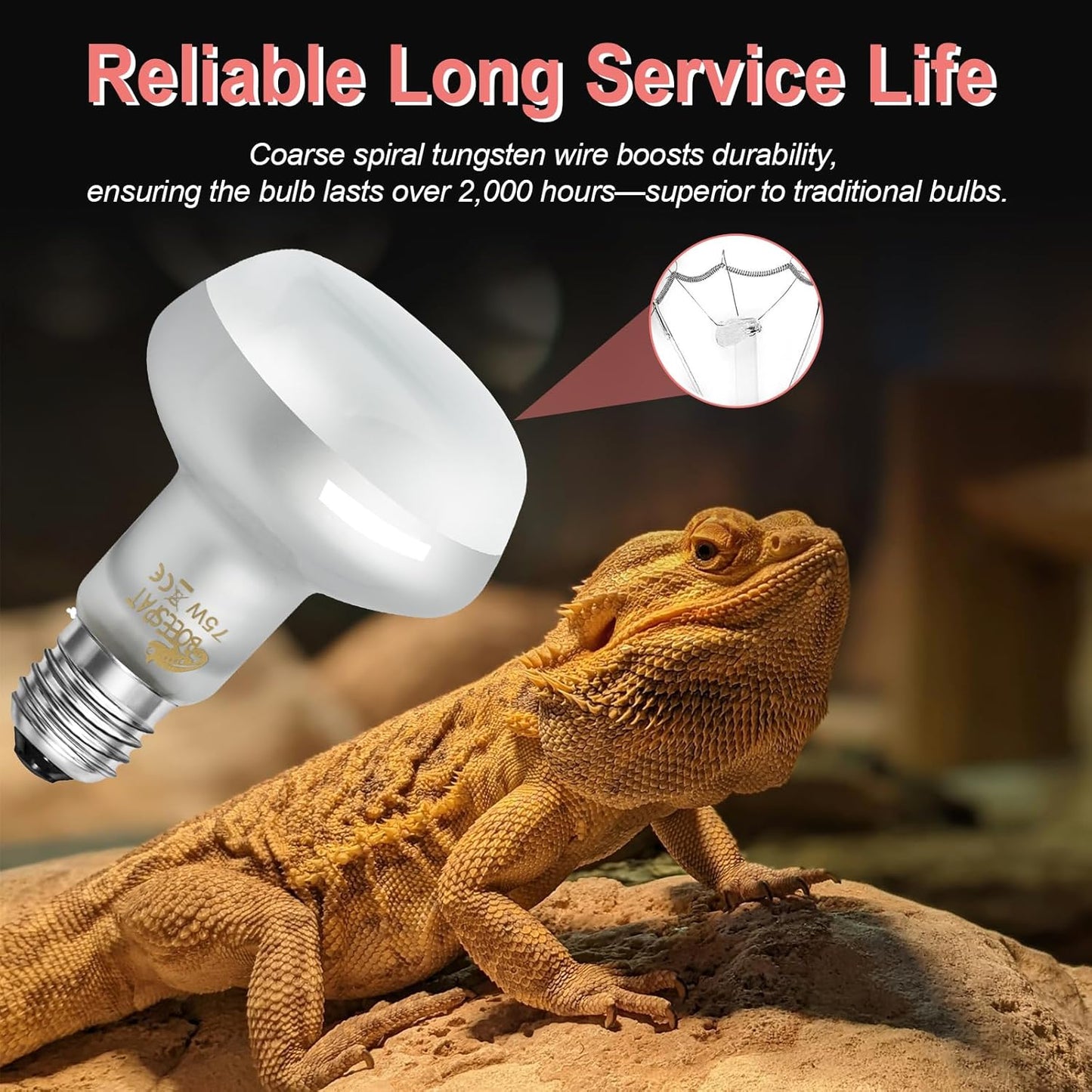 Intense 75W UVA Daylight Heat Lamp Bulbs for Basking - Simulated Sunlight Perfect for Desert-Dwelling Reptiles and Amphibians Like Bearded Dragons, Geckos, Iguanas, Lizards, (Pack of 2)