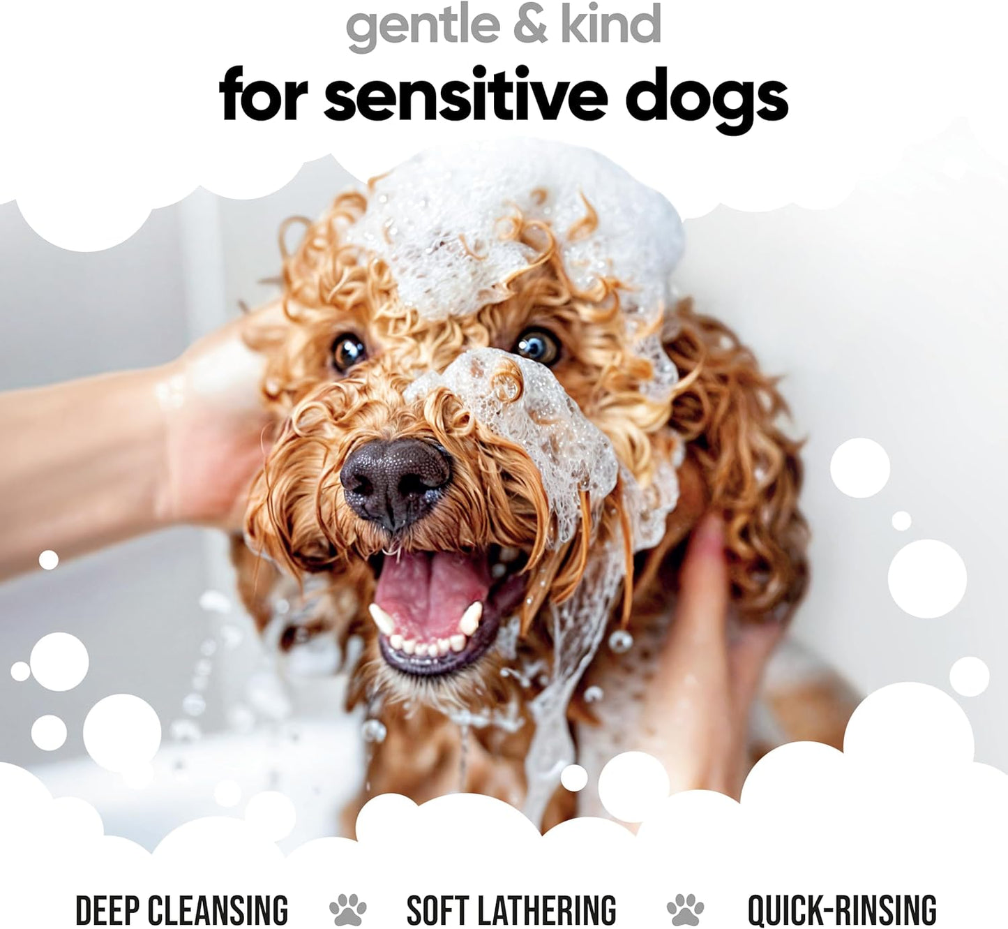 Derma Sensitive Dog Shampoo with Aloe Vera and Pro Vitamin B5 (169.07oz)