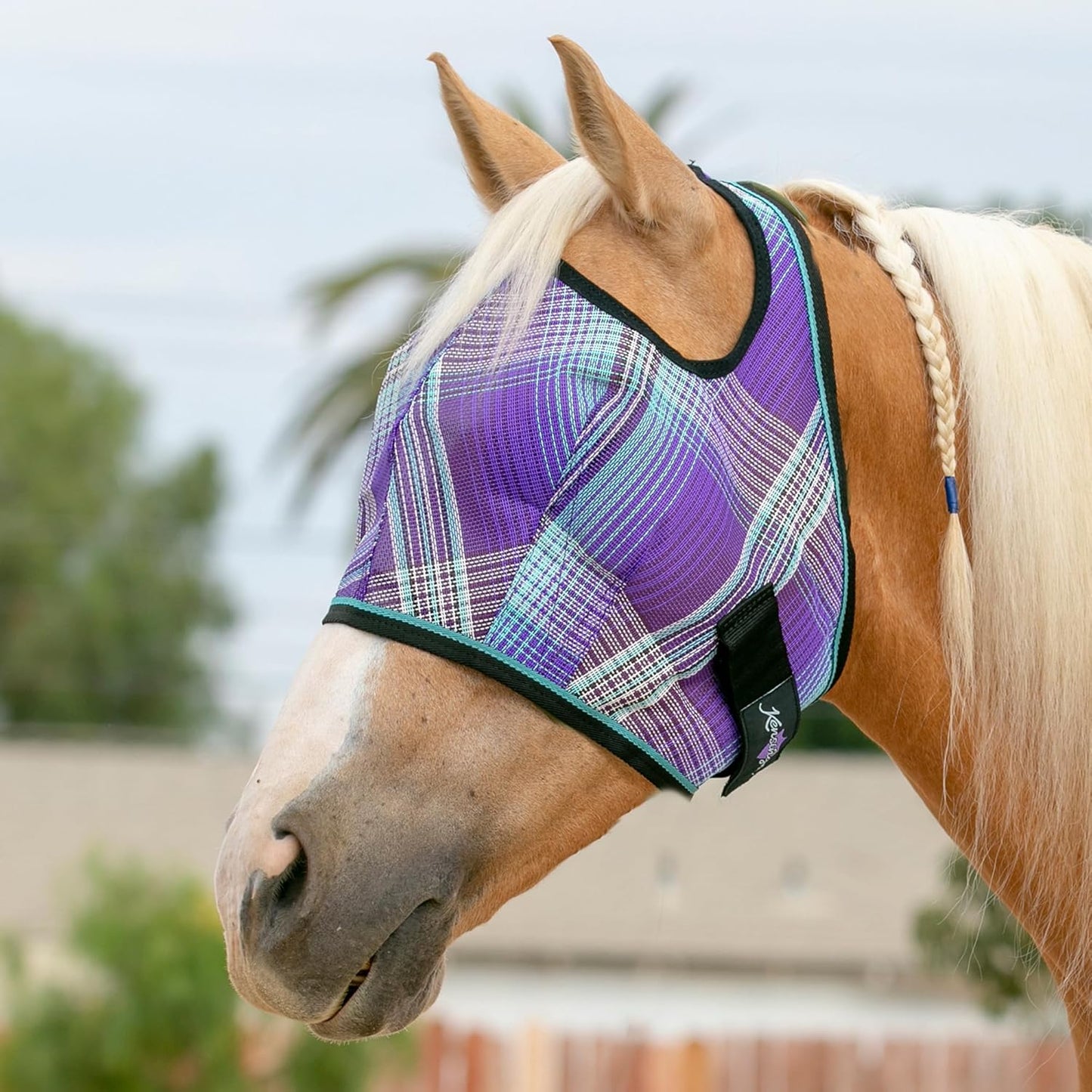 Kensington Fly Mask Web Trim Protects Horses Face and Eyes from Bites and Sun Rays While Allowing Full Visibility Ears and Forelock Able to Come Through The Mask, Small, Lavender Mint