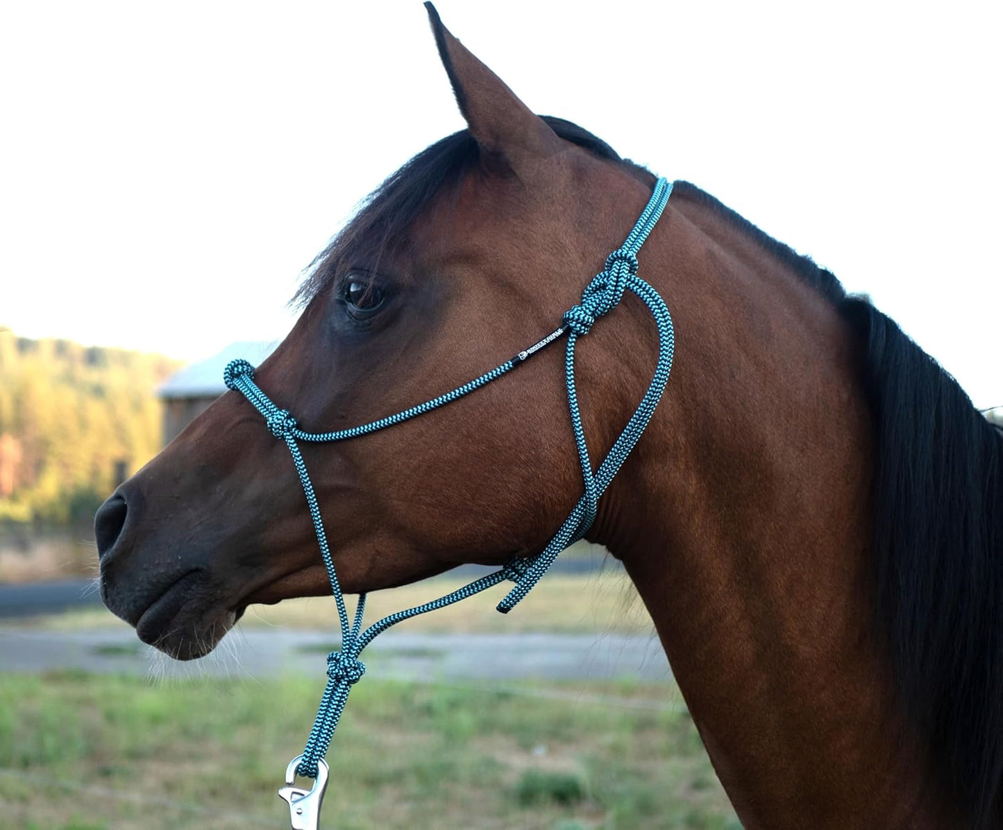 Horse Rope Training Halter - 4 Knot 1/4" Stiff Halter Cord - Used by Famous Trainers Multiple Sizes Multiple Colors