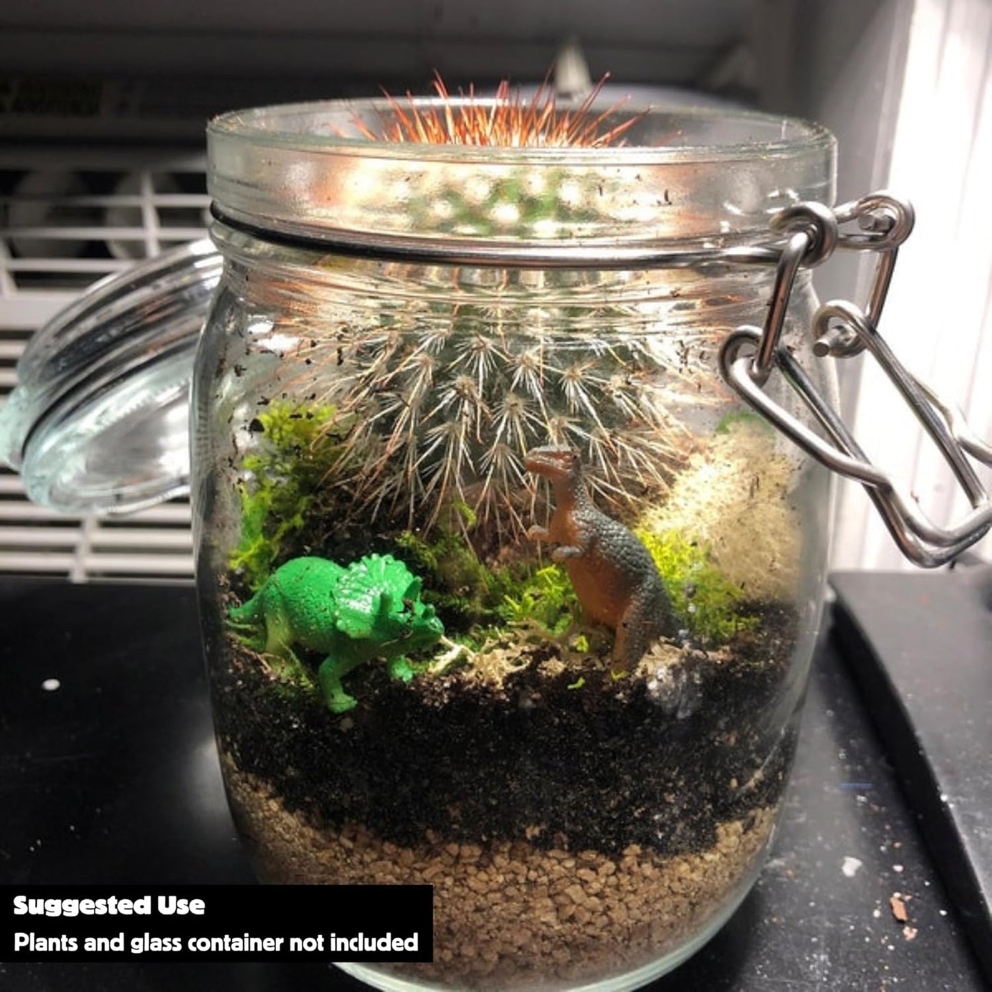 Cute Farms Terrarium Starter Kit | Moss, Vermiculite, Soil, Plant Food, Brush, Build and Care Guide | DIY Succulent Terrarium Kit for Adults and Kids