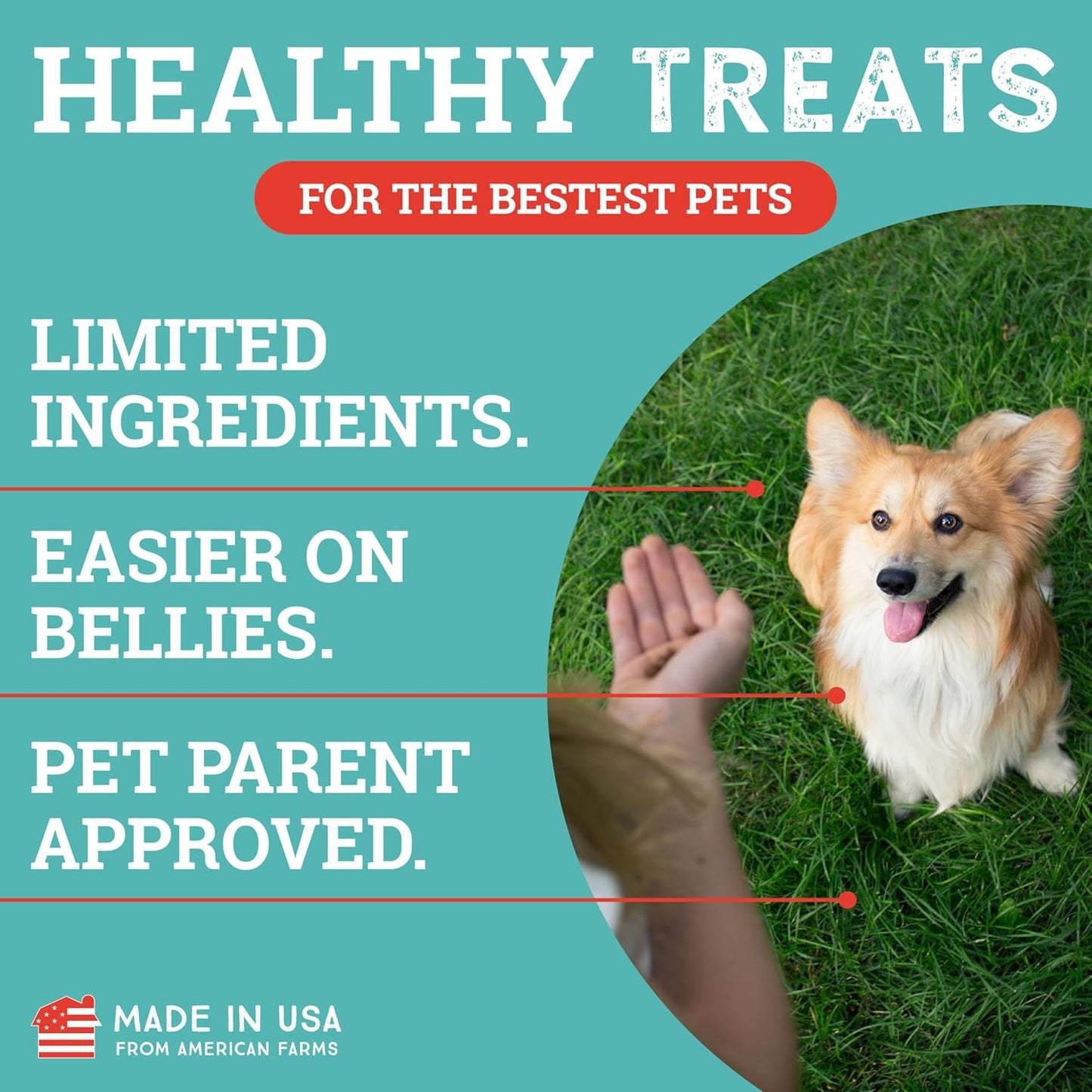 etta says! Training Treats - All Natural Variety Pack Soft Treats for Dogs - Bacon, Cheese, and Peanut Butter - Made in The USA (6 Oz Pack of 3)