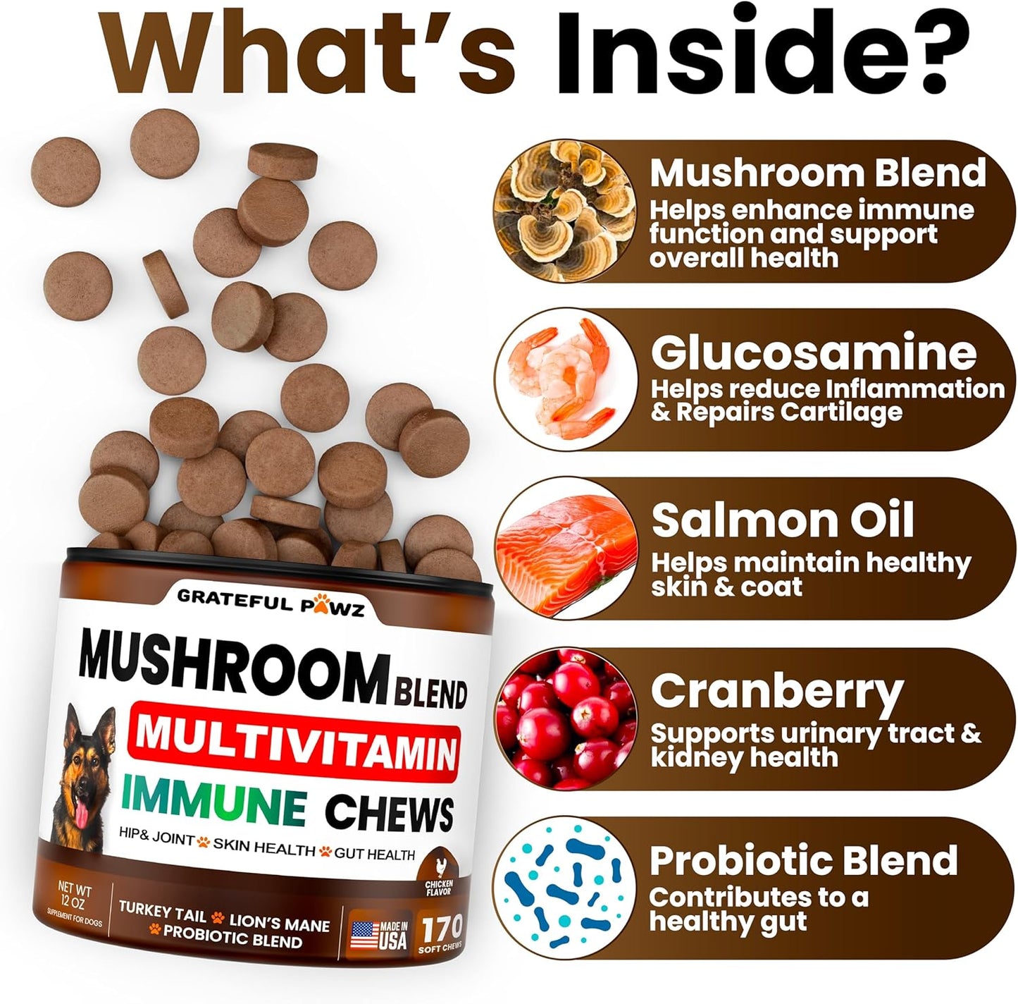 Mushroom Supplement for Dogs - 170 Chews - Mushrooms for Dogs - Turkey Tail, Reishi, Lion’s Mane, Glucosamine Multivitamin - Immune Booster, Gut, Hip & Joint Health Support Vitamins, Energy & Skin