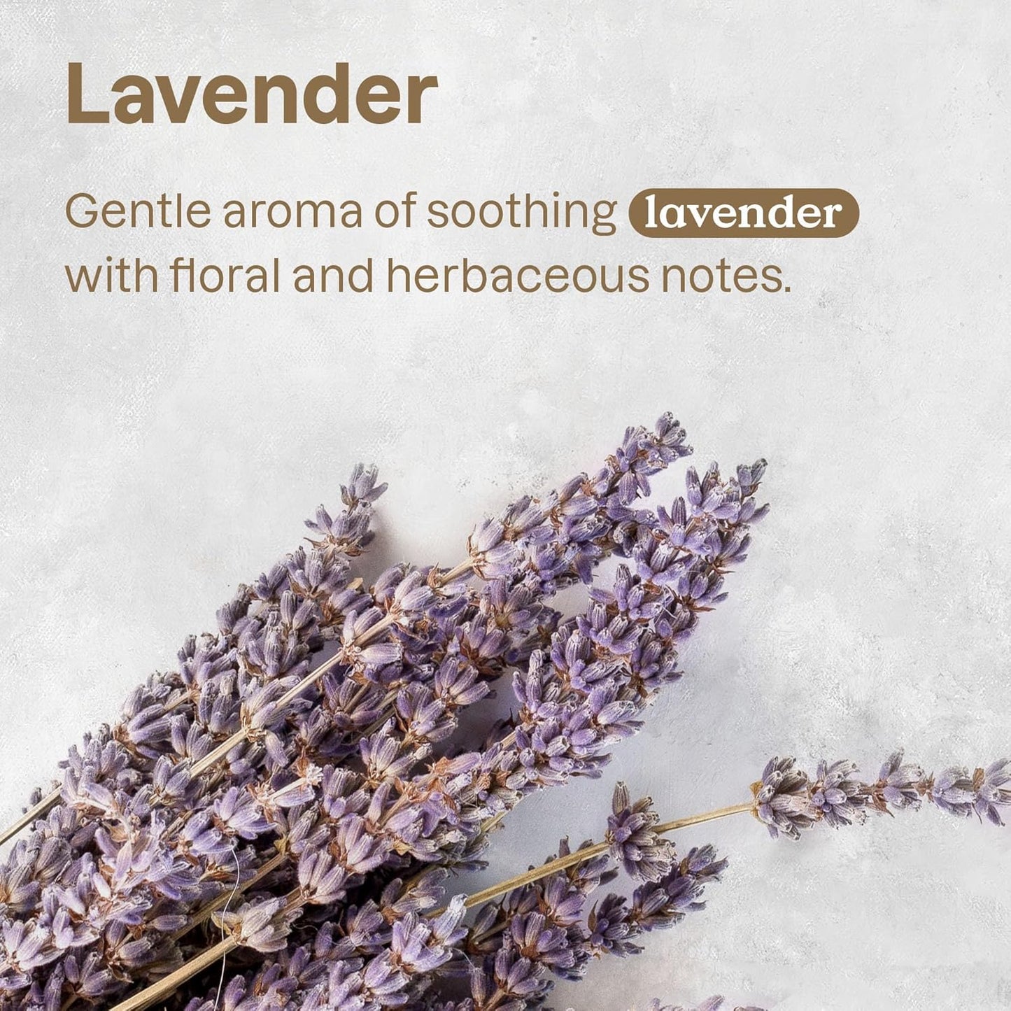 ATTITUDE Waterless Anti-Itching Detangling Spray for Pets, Plant and Mineral-Based Ingredients, Vegan and Cruelty-Free Animal Grooming Products, Lavender, 8 Fl Oz