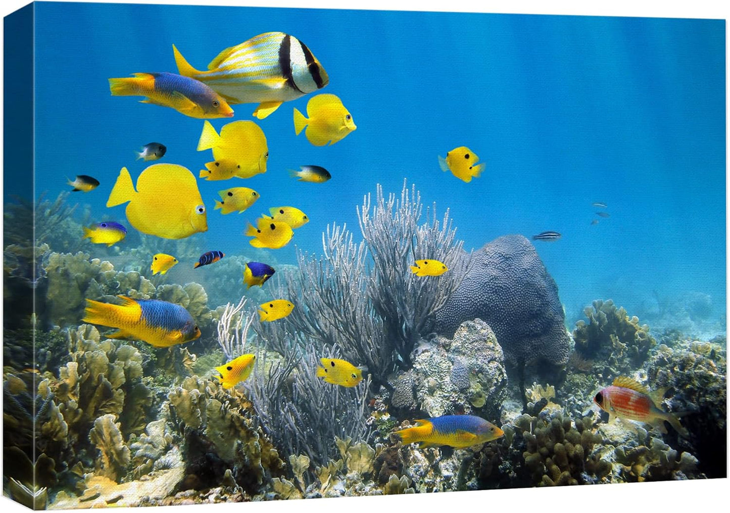 wall26 Canvas Print Wall Art Yellow School of Fish with Blue Coral Reef Nature Ocean Photography Realism Nautical Scenic Relax/Calm Multicolor Ultra for Living Room, Bedroom, Office - 32"x48"