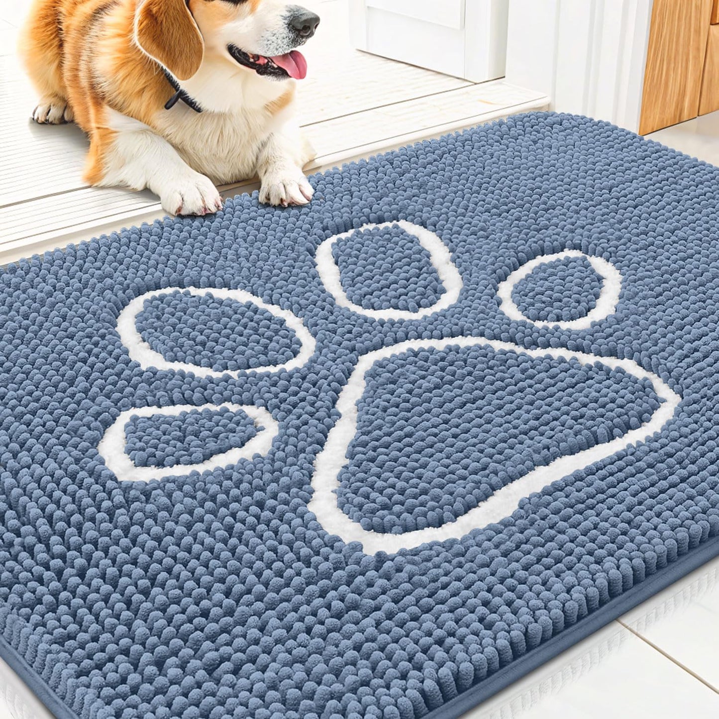 Smiry Dog Door Mat for Muddy Paws, Absorbent Dirt Trapper Non Slip Quick Dry Washable Chenille Mat for Mud Dogs, Entry Rug for Indoor and Outdoor (30x20 Inches, Airy Blue and White)