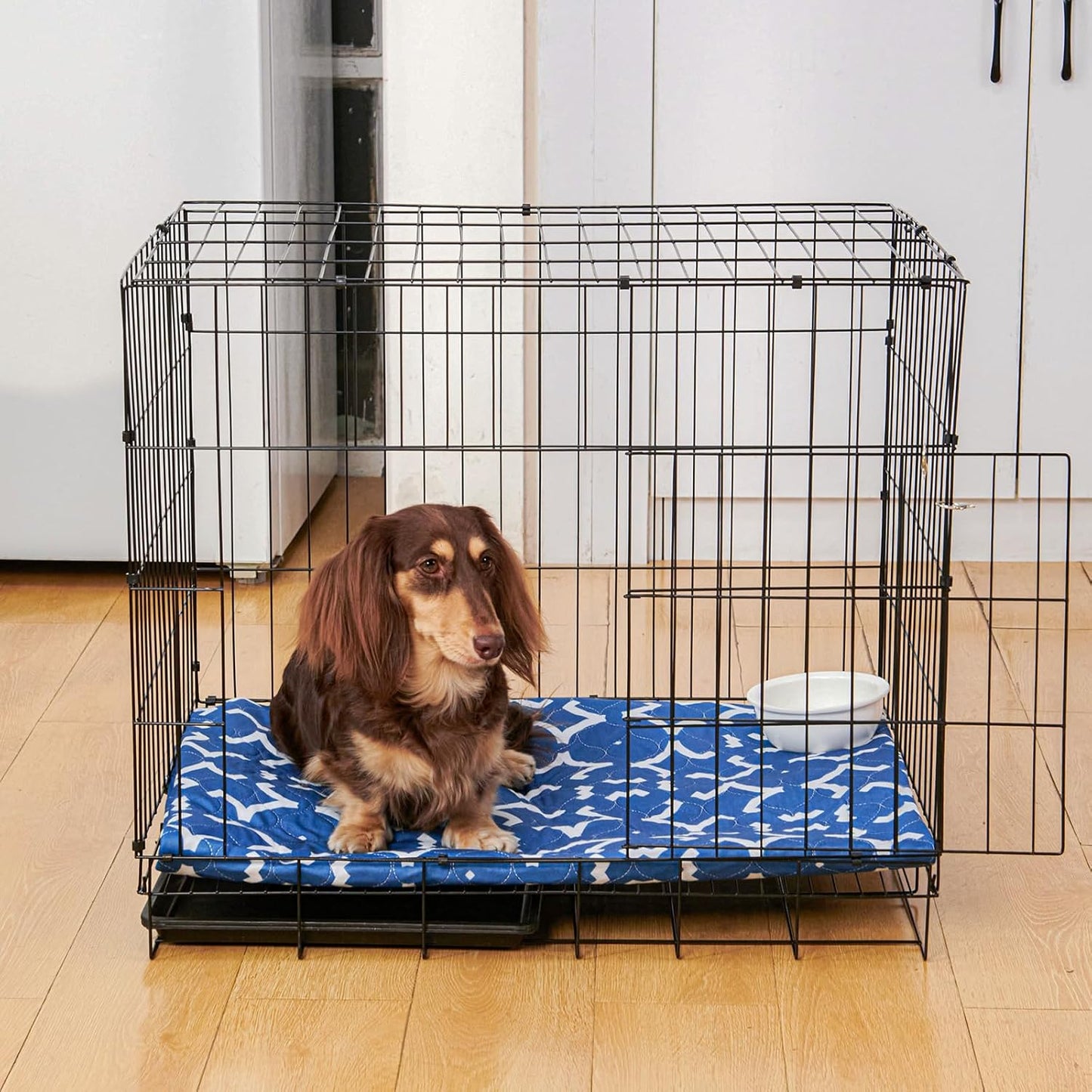 LOOBANI Washable Pee Pads for Dogs 18"x 24": 2 Pack Super Absorbent Reusable Puppy Pads Leakproof Whelping Pad, Waterproof Non-Slip Dog Training Pads for Floor, Crate, Potty, Sofa