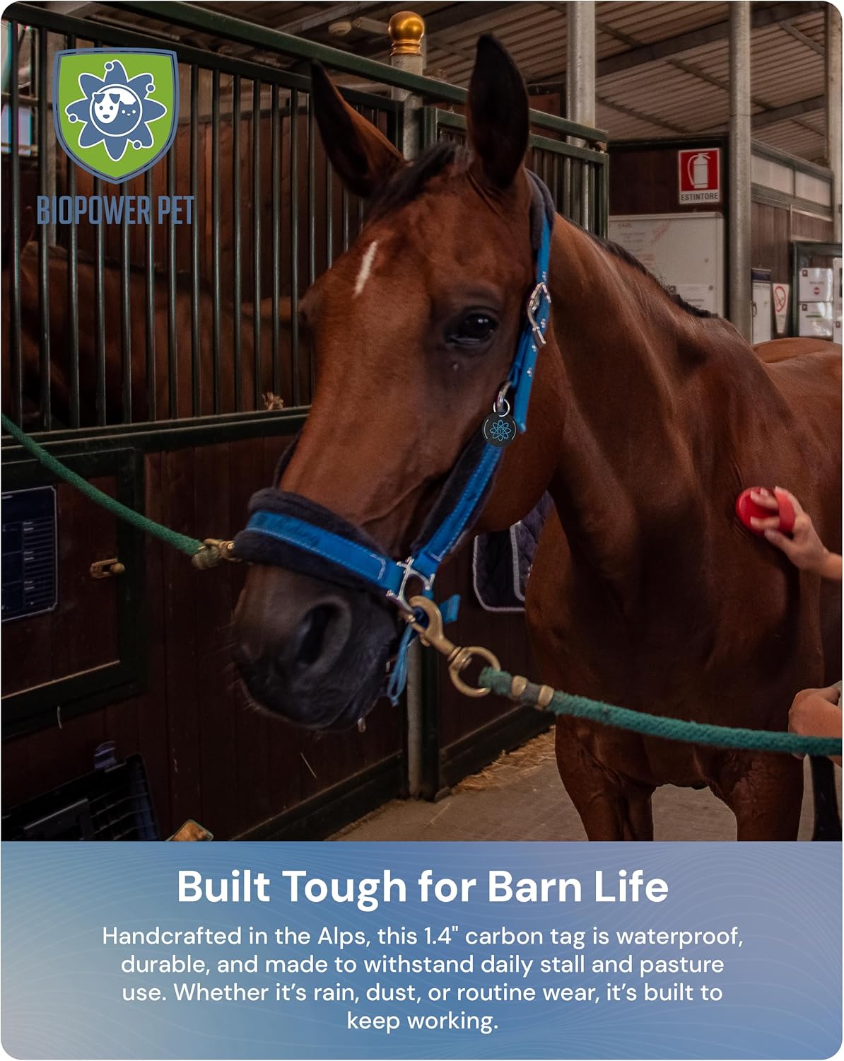 BioPower Natural Fly & Tick Repellent for Horses - Horse Shield Tag with 1-Year Bioresonance Protection – Chemical-Free, Waterproof Carbon Tag That Clips to Halter – Non-Toxic Pest Defense