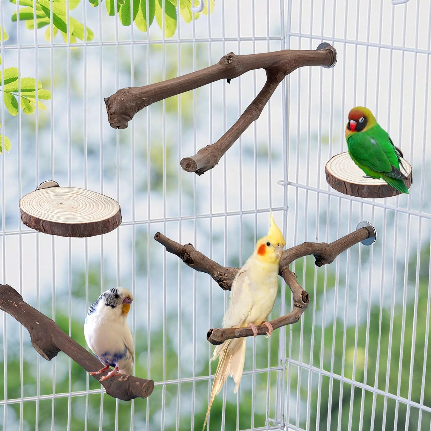 Mogoko 5PCS Bird Perch Natural Wood Grape Stick Stand, 3 Grape Stick Paw Grinding Fork Parakeet Chewing Stick 2 Parrot Stand Branch, Chewing Exercise Branches Bird Cage Accessories