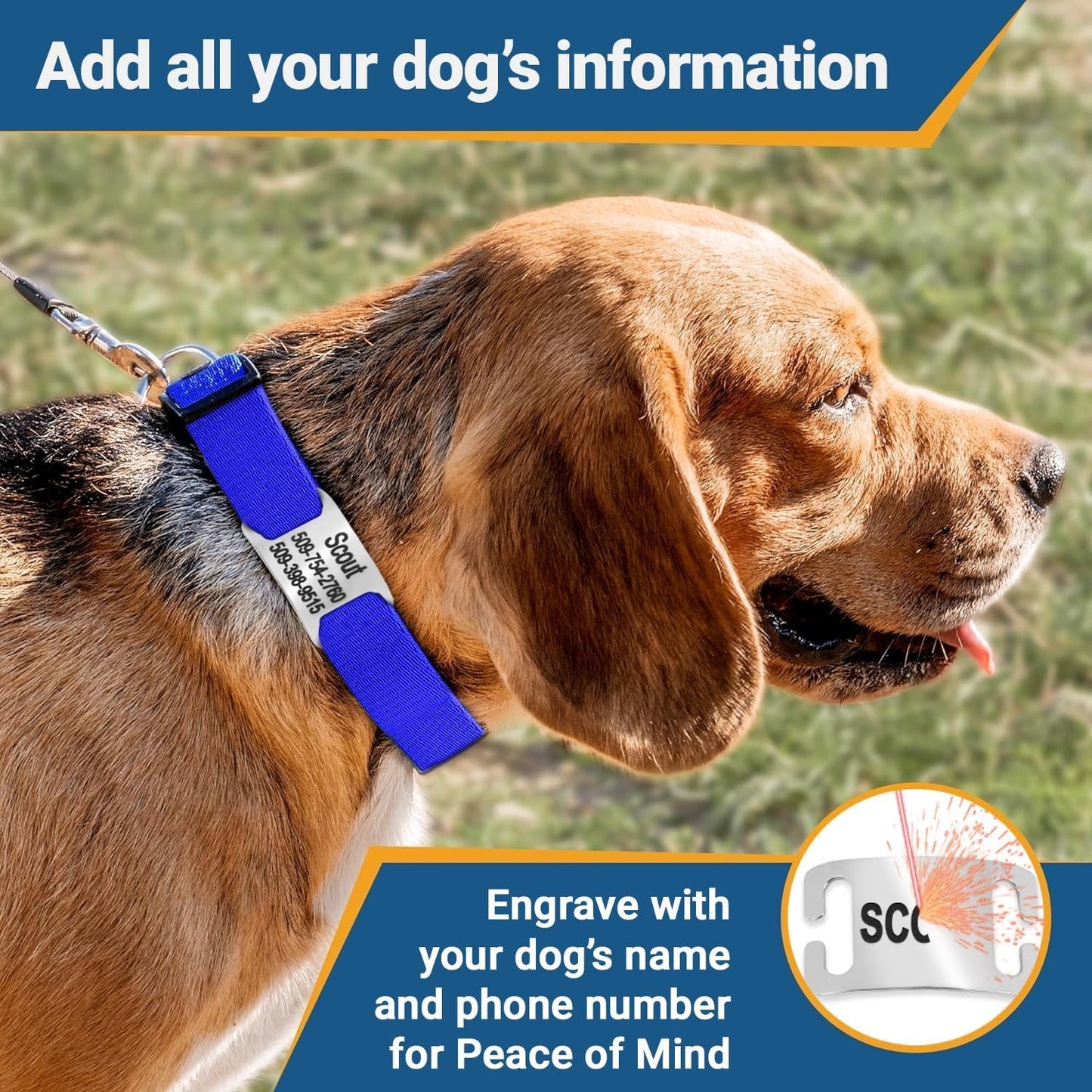 GoTags Personalized Dog Collar with Nameplate, Adjustable Dog Collar with Custom Engraved Slide On Pet ID Tag in Stainless Steel, Silent, No Noise Dog Tag (Light Gray, Medium)