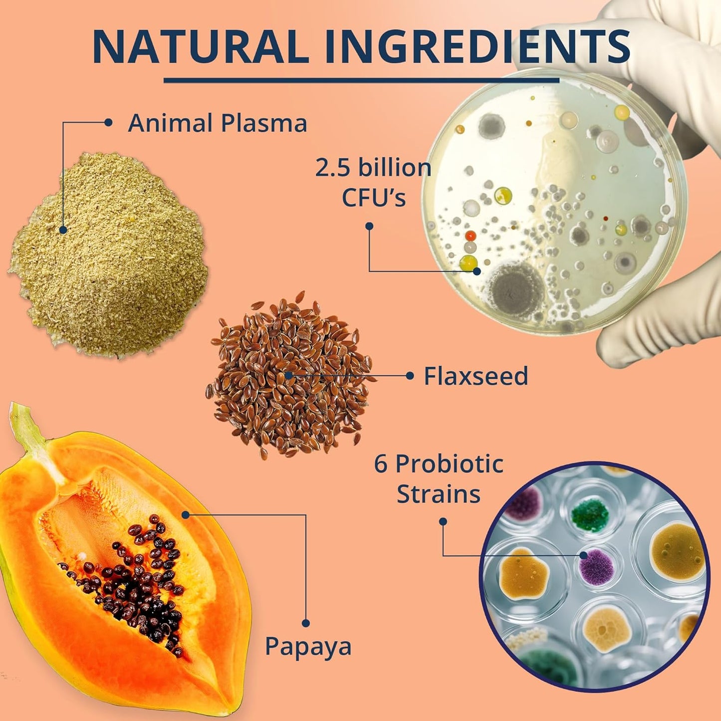 NOVEHA Probiotic Chews for Dogs | Ultimate Gut Health & Digestive Support | for Healthy Skin & Coat | Relieves Itching & Paw Licking | Probiotics for Pet Dogs with Allergies (180 Chews 2-Pack)