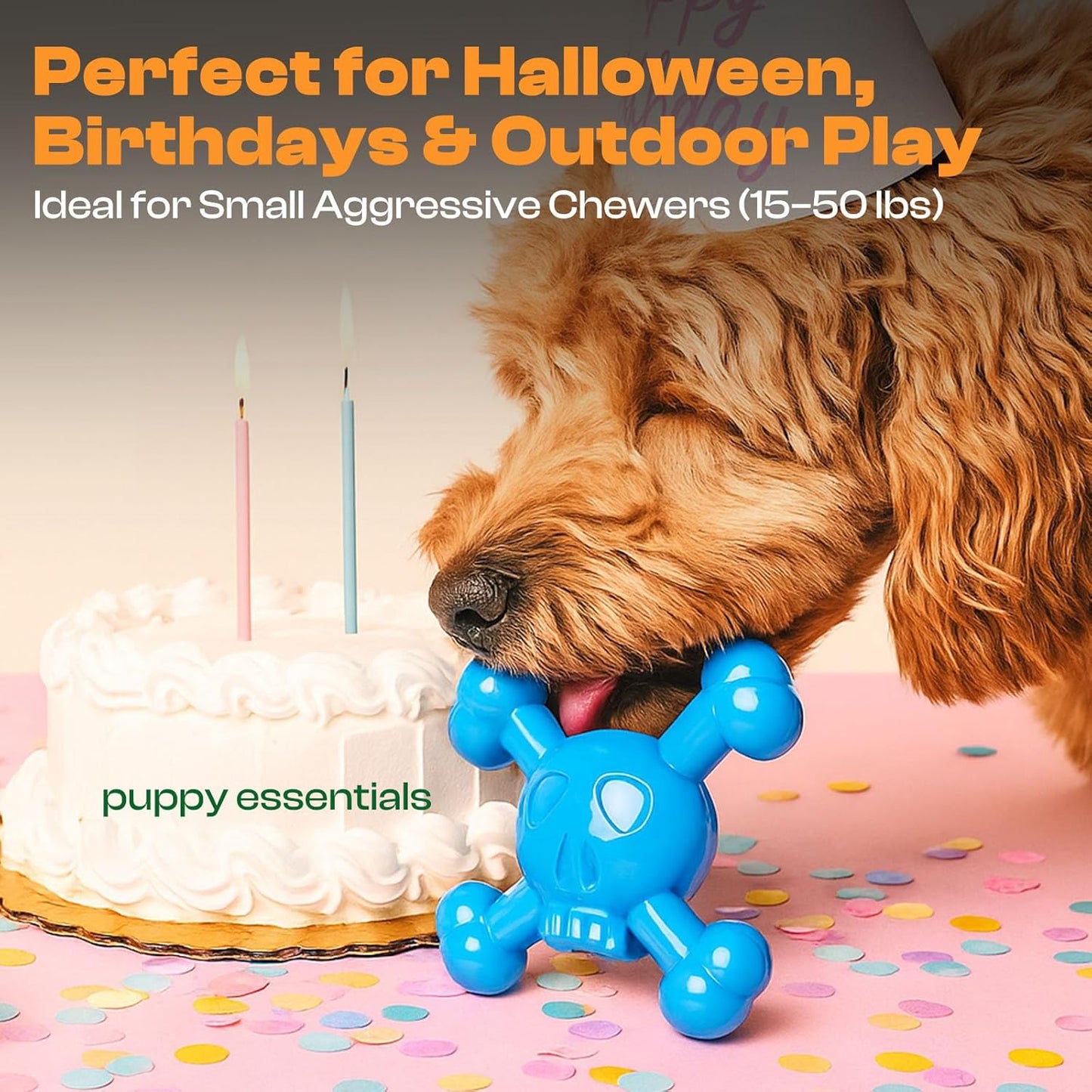 Dog Chew Toys for Aggressive Chewers – Indestructible Nylon Bone for Puppy Teething,Tough Chew Toy for Small Dogs, Bacon Flavor and Outdoor Fun, Skull Design