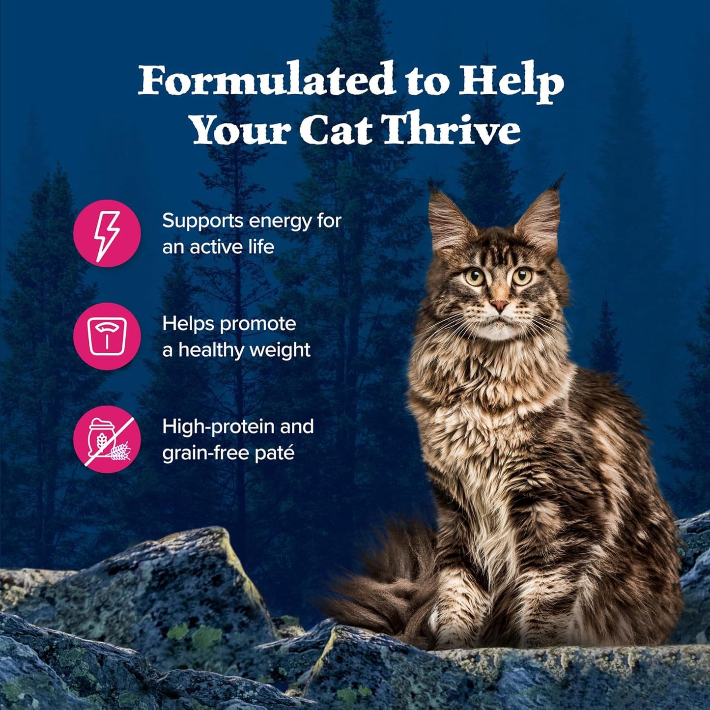 Blue Buffalo Wilderness Natural High-Protein Grain-Free Wet Food for Adult Cats, Salmon Paté, 5.5-oz. Cans, 24 Count