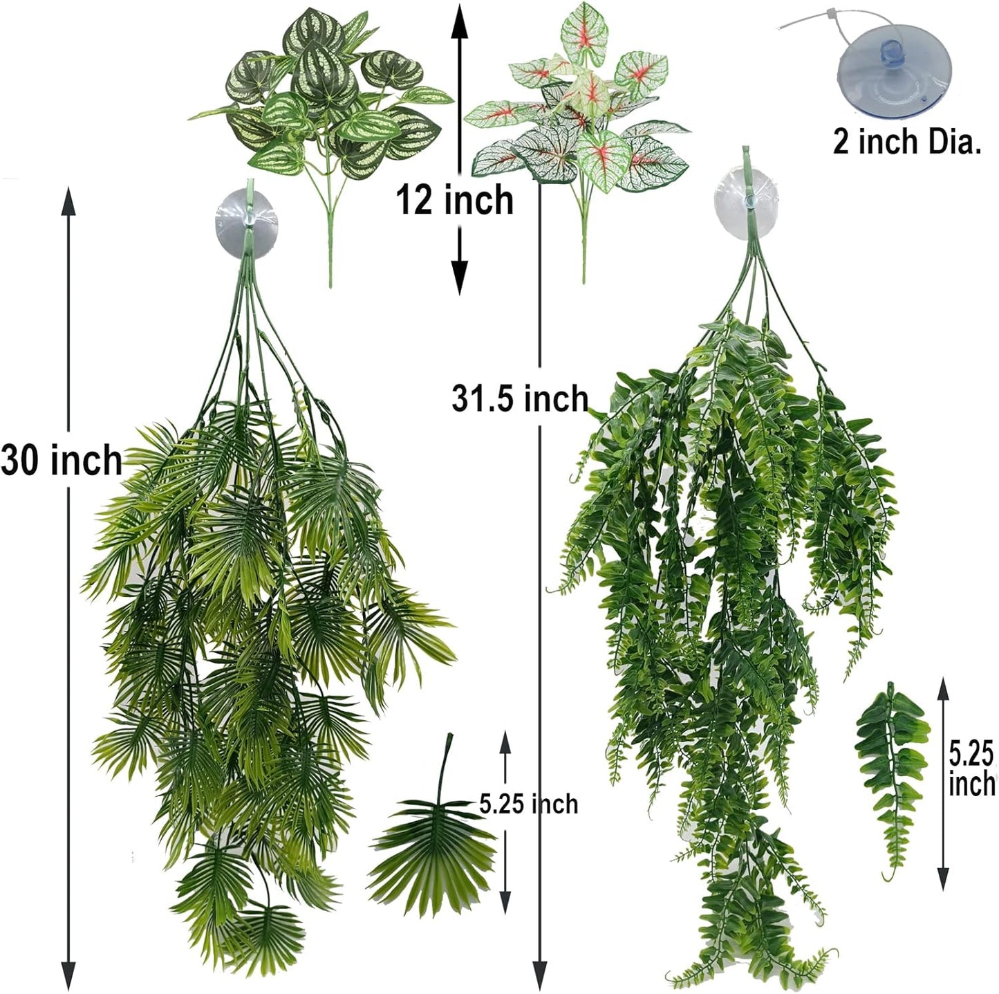 Reptile Plants for Bearded Dragon Tank Accessories, Terrarium Plant Artificial Decor for Snake Cage, Fake Plant for Leopard Gecko Habitat, Lizard Chameleon Ball Pythons (Group EN)