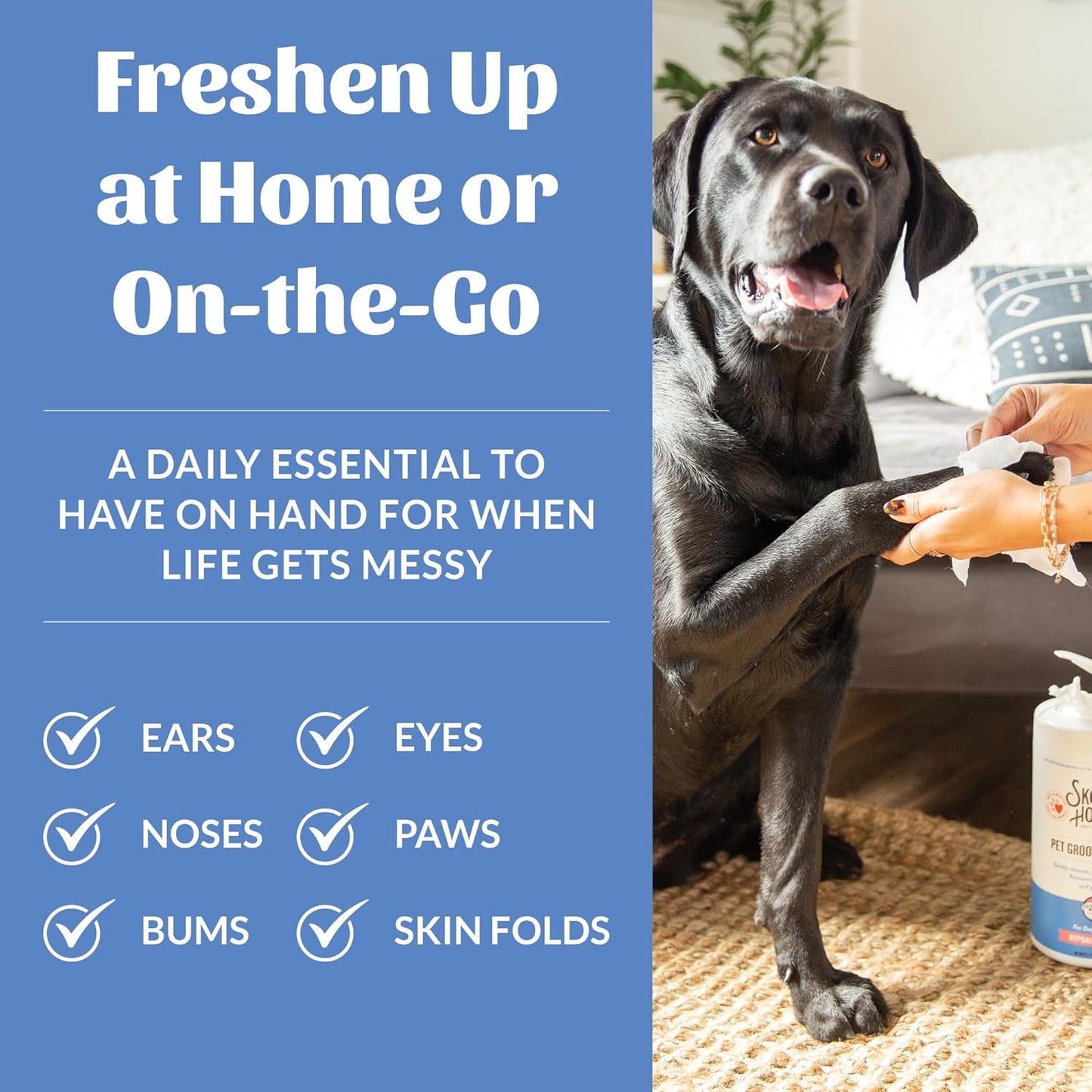 SKOUT'S HONOR Pet Grooming Wipes for Dogs and Cats - Deodorizing, Plant-Based, Biodegradable, Fragrance-Free - for Paws, Faces, Skin Folds & Bums, 80 Count, 2-Pack