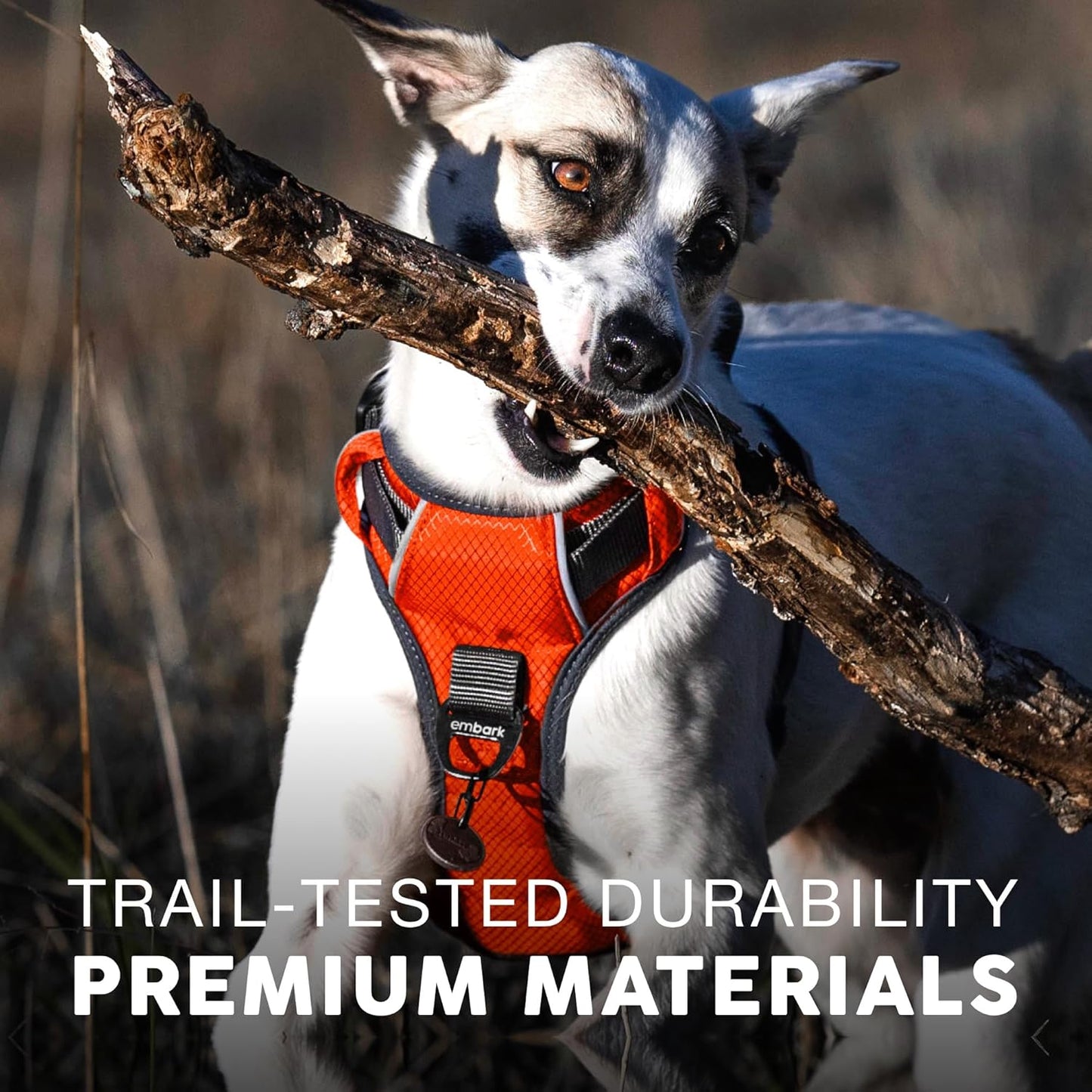 Embark Adventure Dog Harness, No-Pull Reflective Trim Dog Harness for Small, Medium & Large Dogs - Military Grade Nylon, 2 Leash Clips & Gel Lined Handle. Soft & Padded Puppy Dog Vest for Any Breed