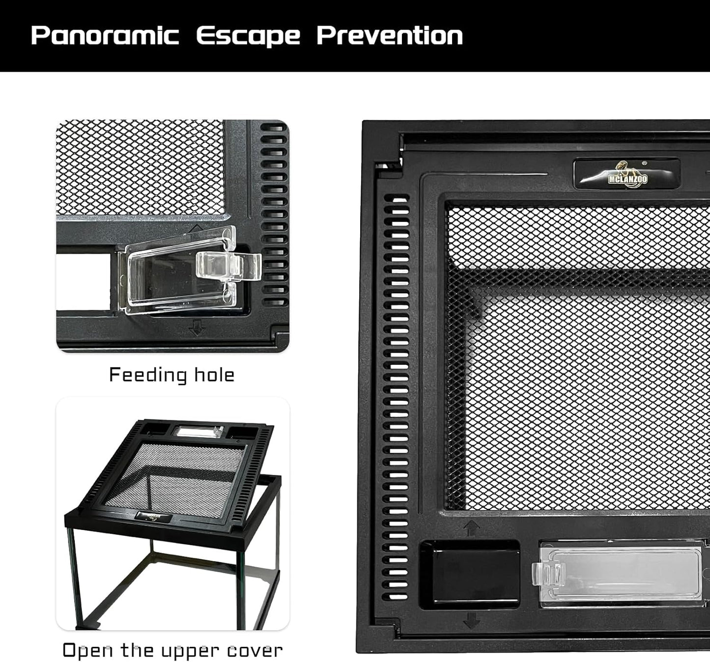 Mini Reptile Glass Terrarium Tank 8 * 8 * 6" Full View, Amphibians Box Habitat Enclosure Cage for Frog,Spiders,Dubia Cockroach,Praying Mantis,Cricket,Tarantula,Hermit Crab