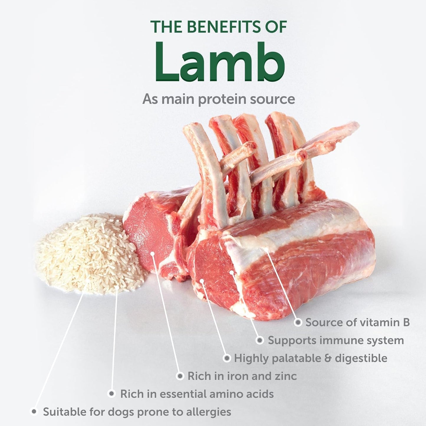 Nature's Protection Superior Care White Dogs Dry Dog Food - High Protein, Tear Stain Dog Food for Small & Mini Breeds Light Coated Adult Dogs, Fresh Pet Meal, Lamb and Rice, 3.3 lb