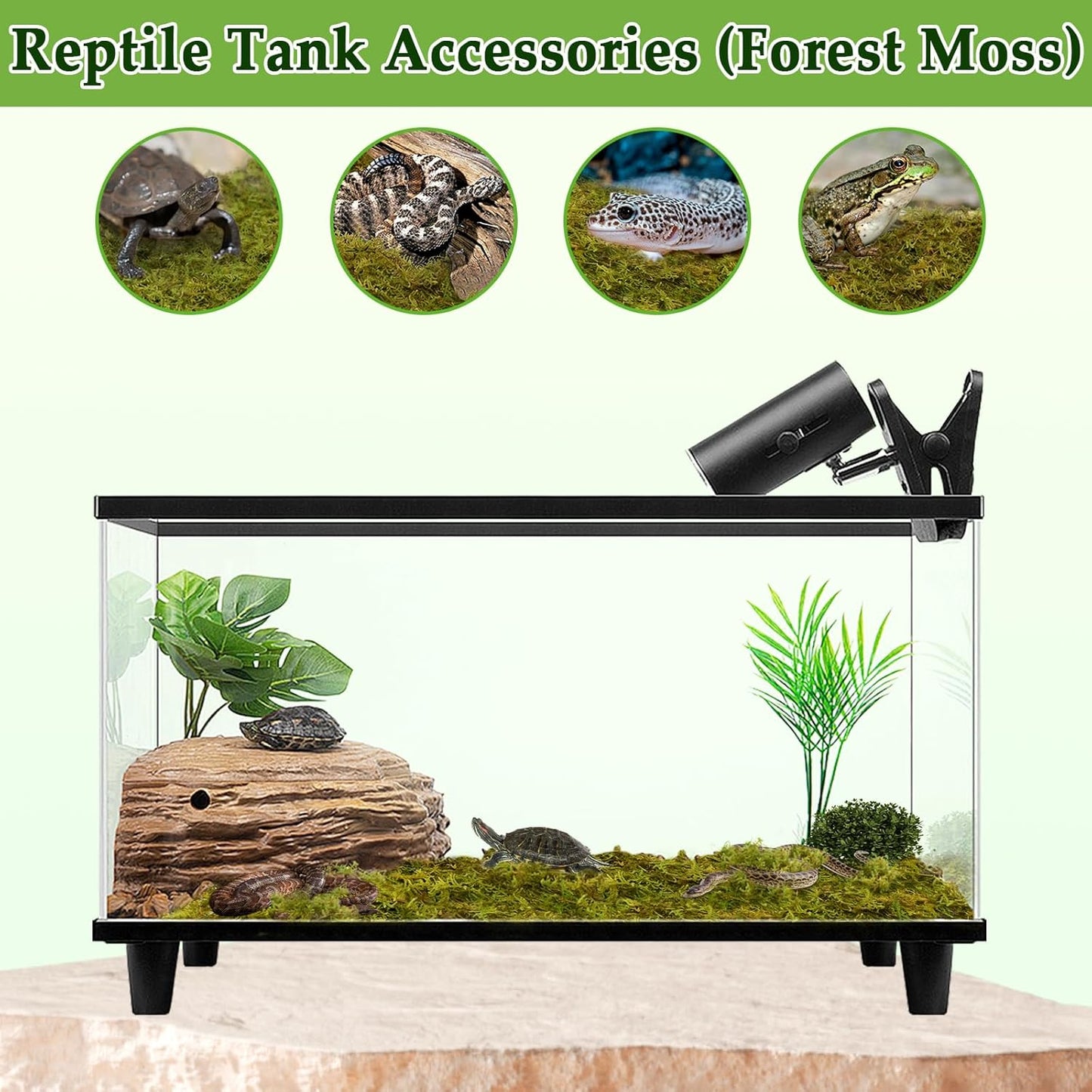 Halatool 2.2LB Natural Sphagnum Moss for Reptiles- 50QT Green Live Moss for Terrarium Plants Long Fiber Reptile Moss for Leopard Gecko Snake Hamsters Tortoises Frogs Lizards Salamanders