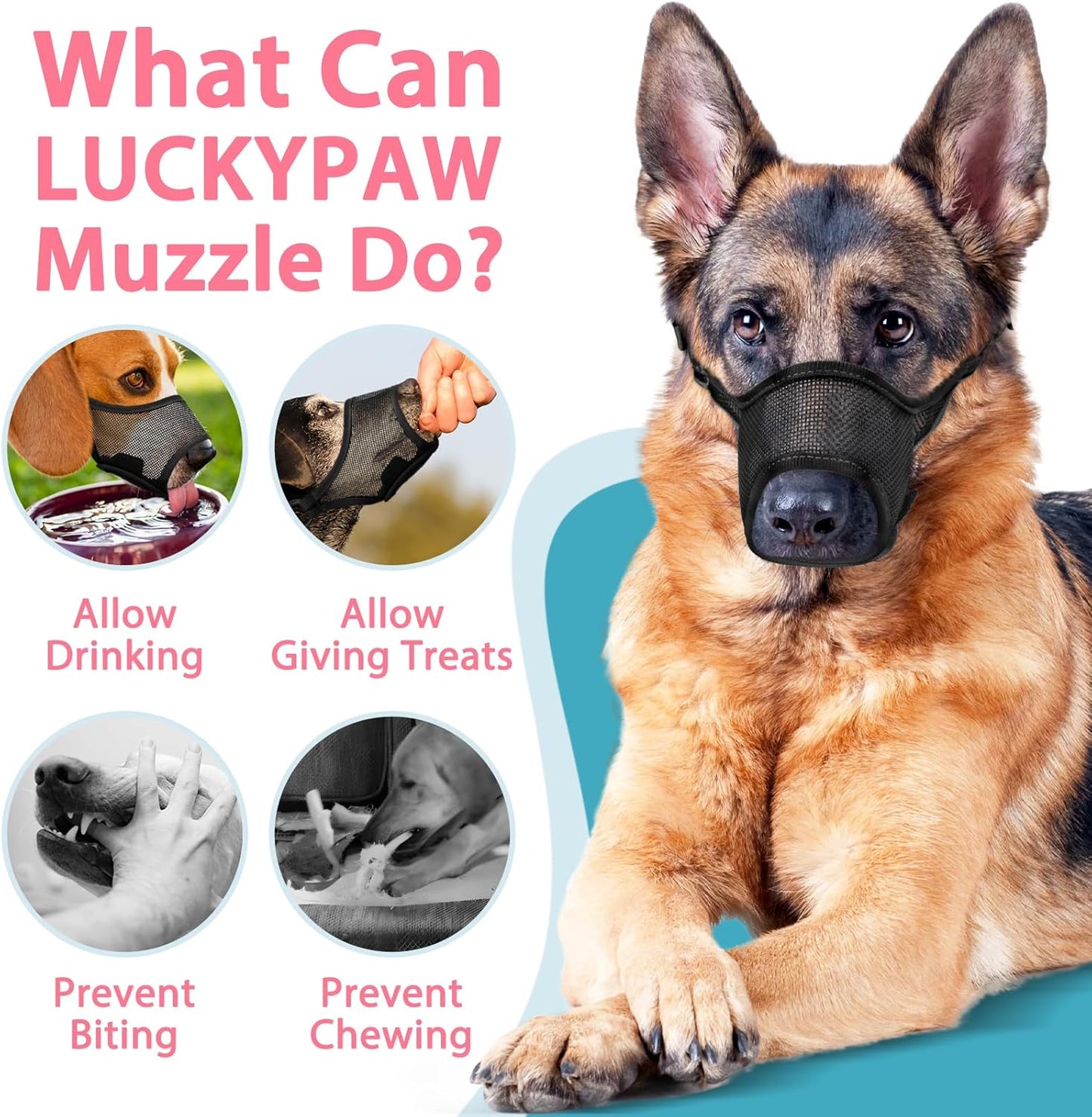 LUCKYPAW Dog Muzzle, Mesh Muzzle for Large Medium Small Dogs, Soft Mouth Guard for Biting Chewing, Breathable Mouth Guard with Adjustable Strap for Training (Black, M(Snout:8.75"-9.5"))