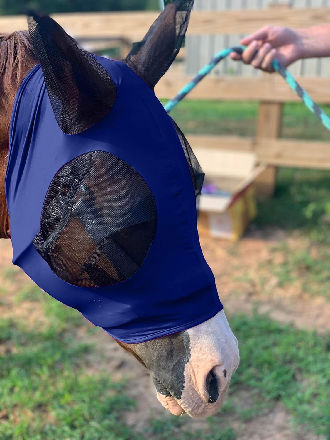 Horse Fly Mask - Durable Equine Fly Mask with Full Coverage for Eye & Ear - Stretchable, UV & Sun Protection Flymask for Horses, Ponies & Mini Horses - Horse Face Cover for Pasture & Trail - Navy