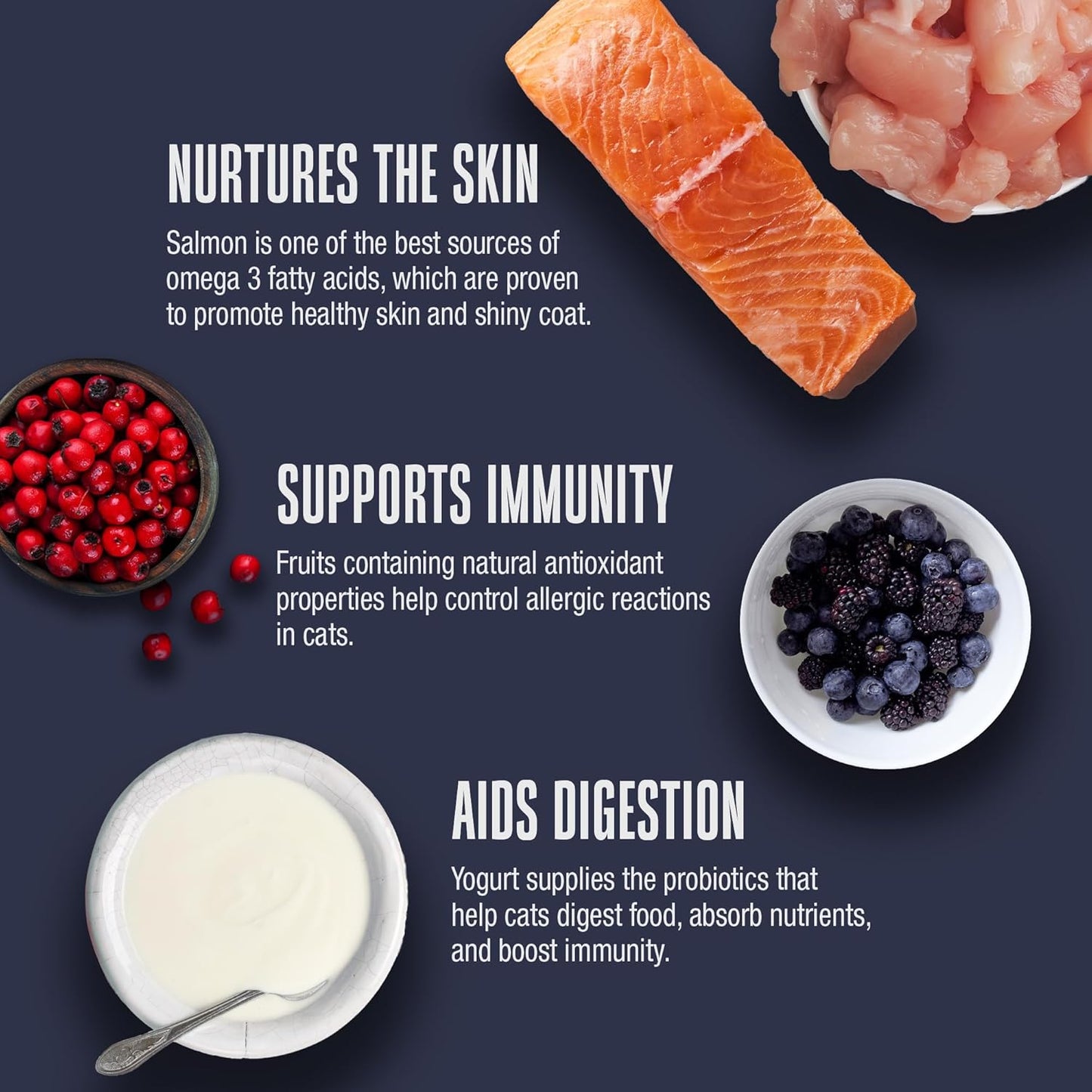 Whole Life Pet Healthy Skin and Coat Cat Supplements for Dry Skin, Allergy & Stomach Relief, Cat Immune & Digestive Support - Probiotics & Omega 3 for Cats, Cat Food Add Ins - 30-Day Supply