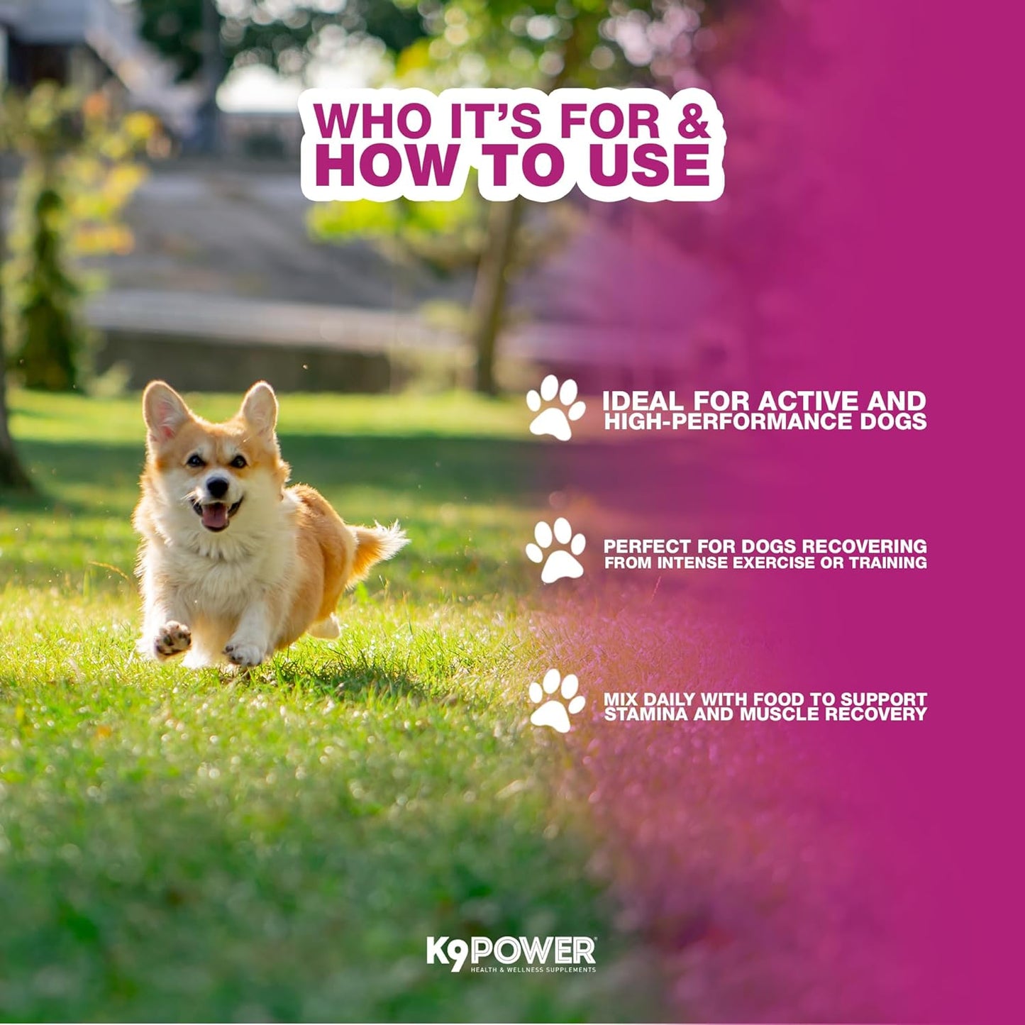 K9 Power Super Fuel for Dogs 1lb - Boosts Energy Levels - Supports Muscle Growth & Enhances Joint Health - Pack of 2