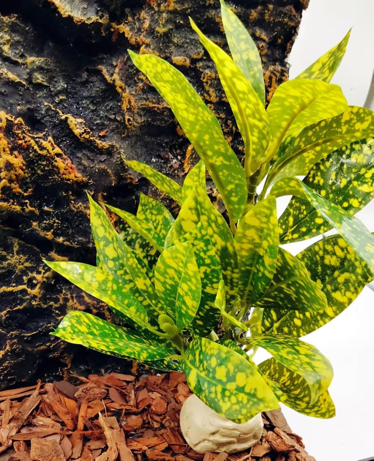 Reptile Plants Terrarium Artificial Leaves Reptile Tank Decorations for Bearded Dragon Lizard Snake Geckos Chameleon Amphibian Habitat Terrarium Decor