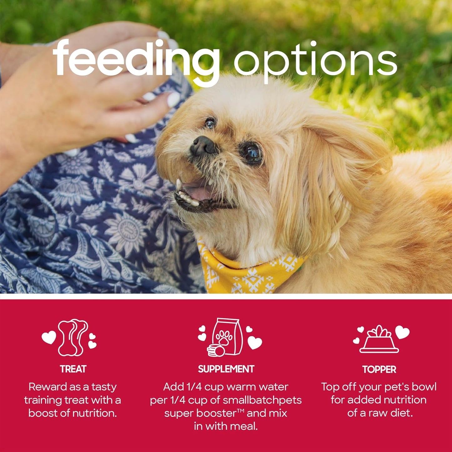 smallbatch Freeze Dried Dog Treats, Superfood Food Topper Beef Bites for Dogs & Cats, Probiotics, Organic Ingredients, High Protein, Grain Free Healthy Treat Food Topper, Made in The USA, 7 oz Bag