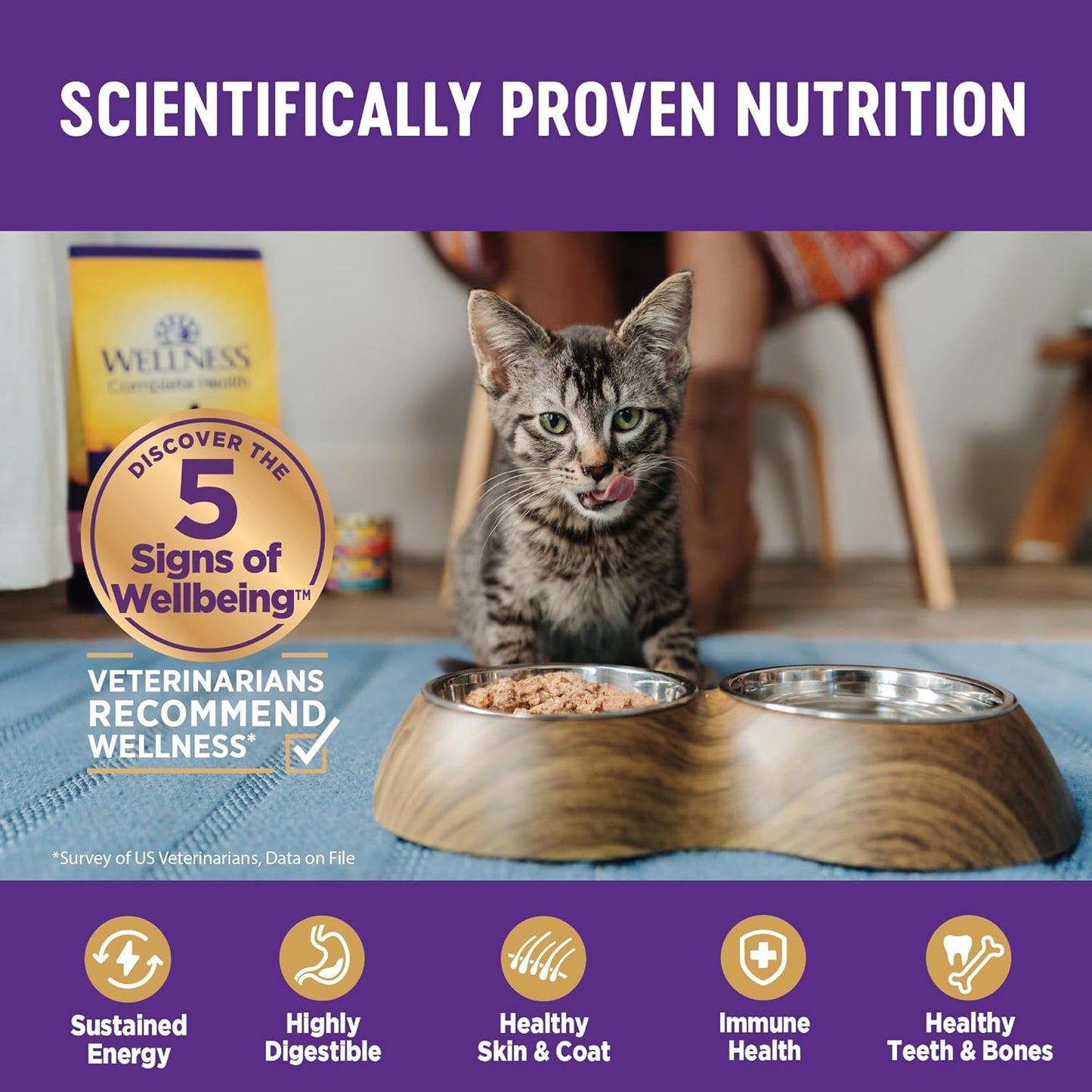 Wellness Complete Health Pate Kitten Wet Cat Food Canned Food, Natural, Protein-Rich, Grain Free, 3 Ounce Cans, 24 Pack, (Whitefish & Tuna)